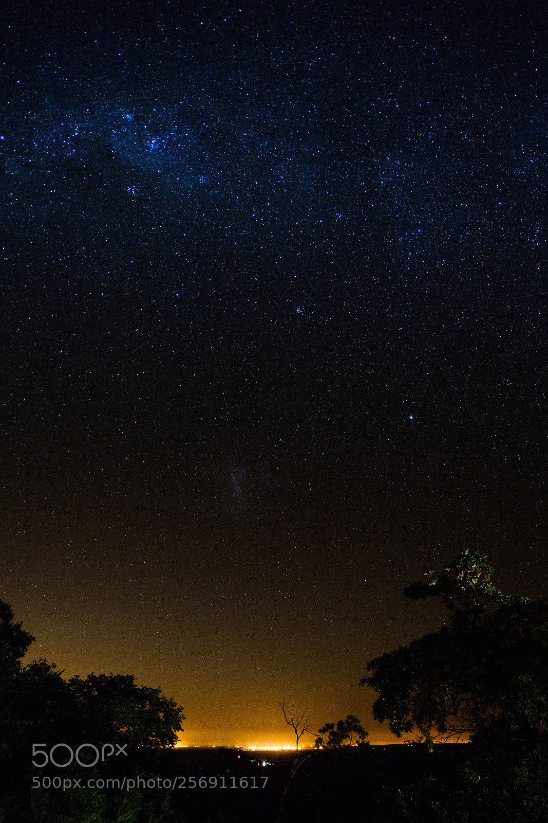 Canon EOS 5D Mark II sample photo. Stars photography