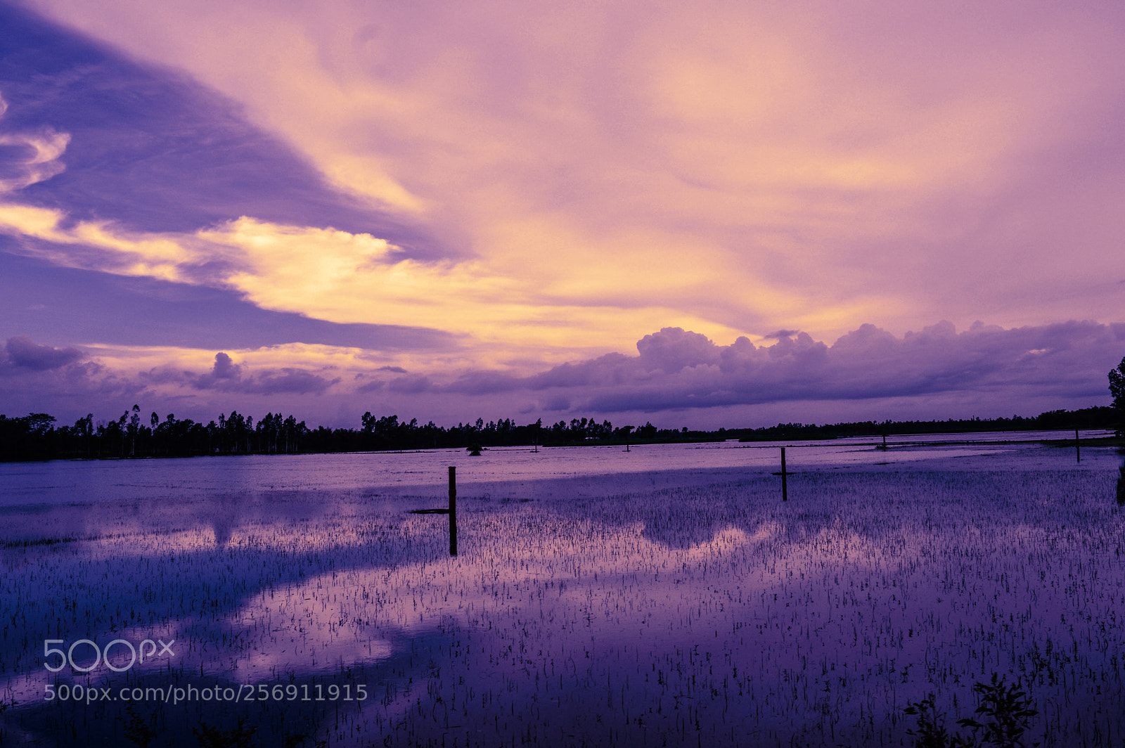 Nikon D3200 sample photo. Serenity! photography