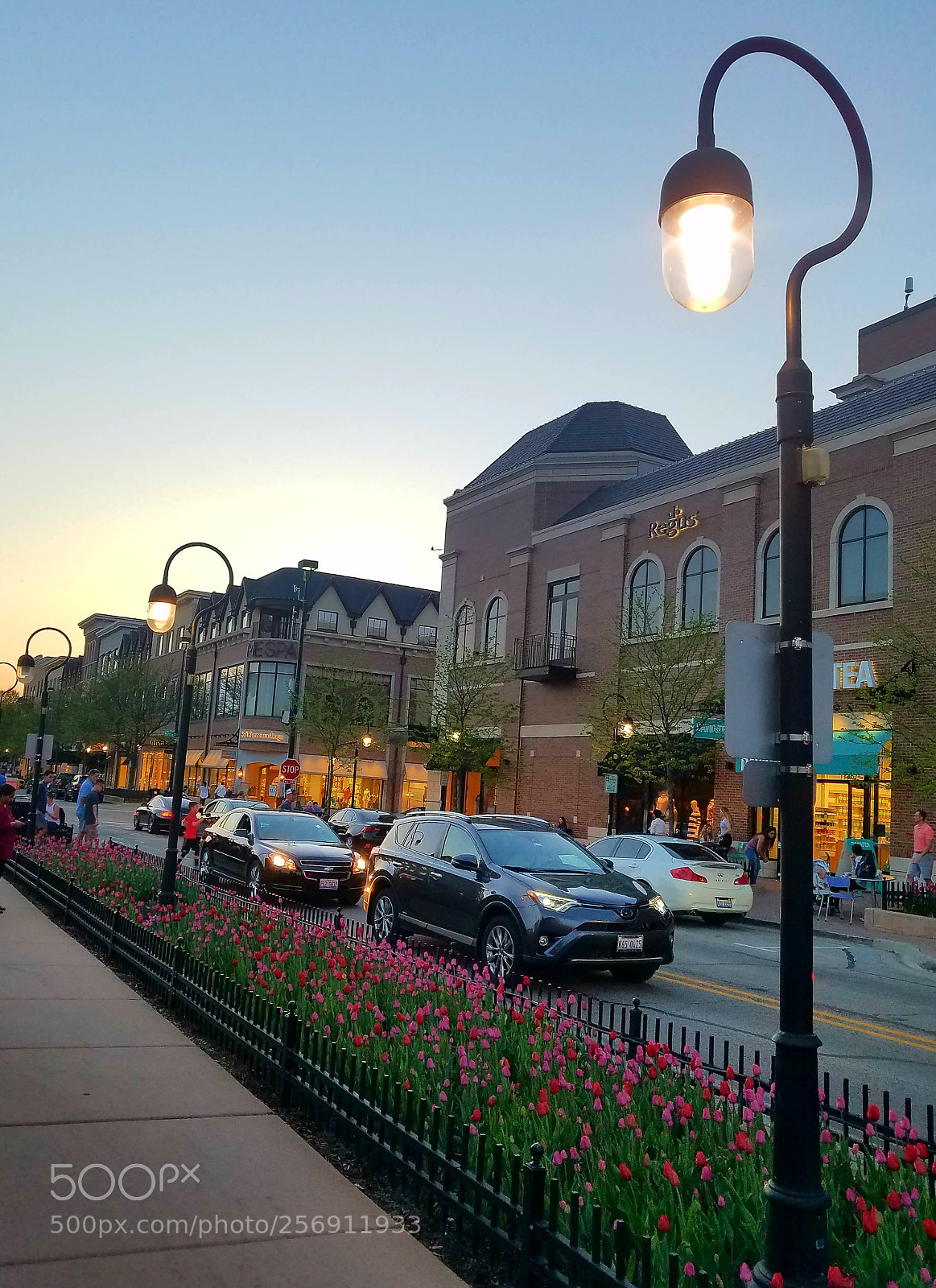 Samsung Galaxy S7 Edge sample photo. Naperville, il photography