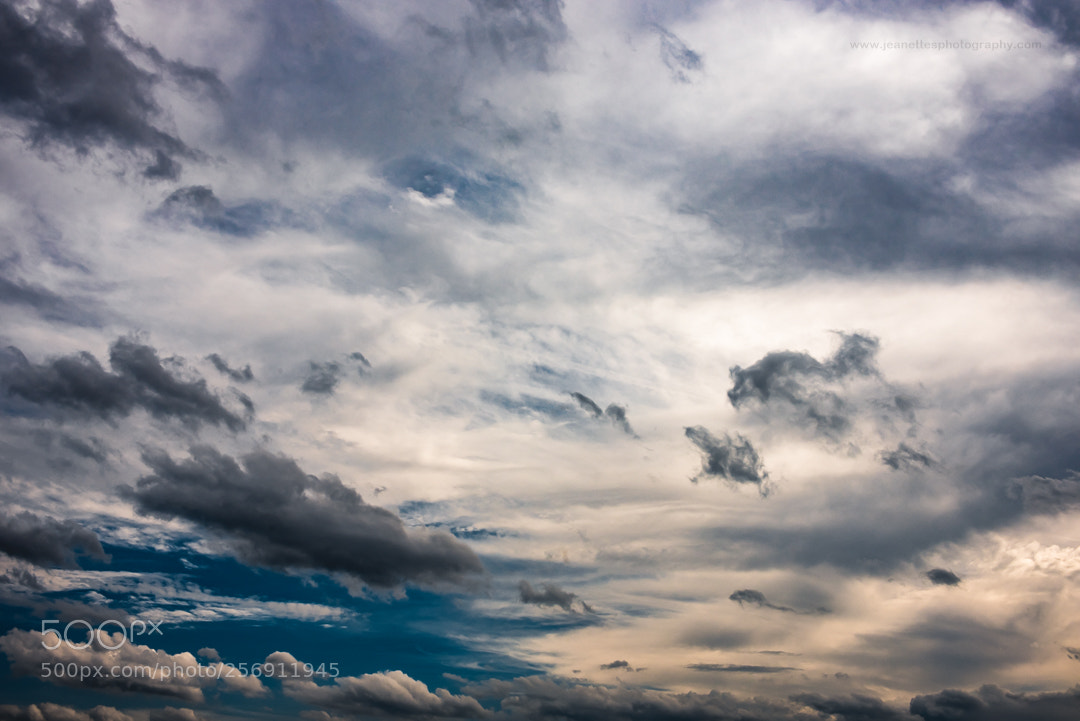 Nikon D750 sample photo. In the clouds photography
