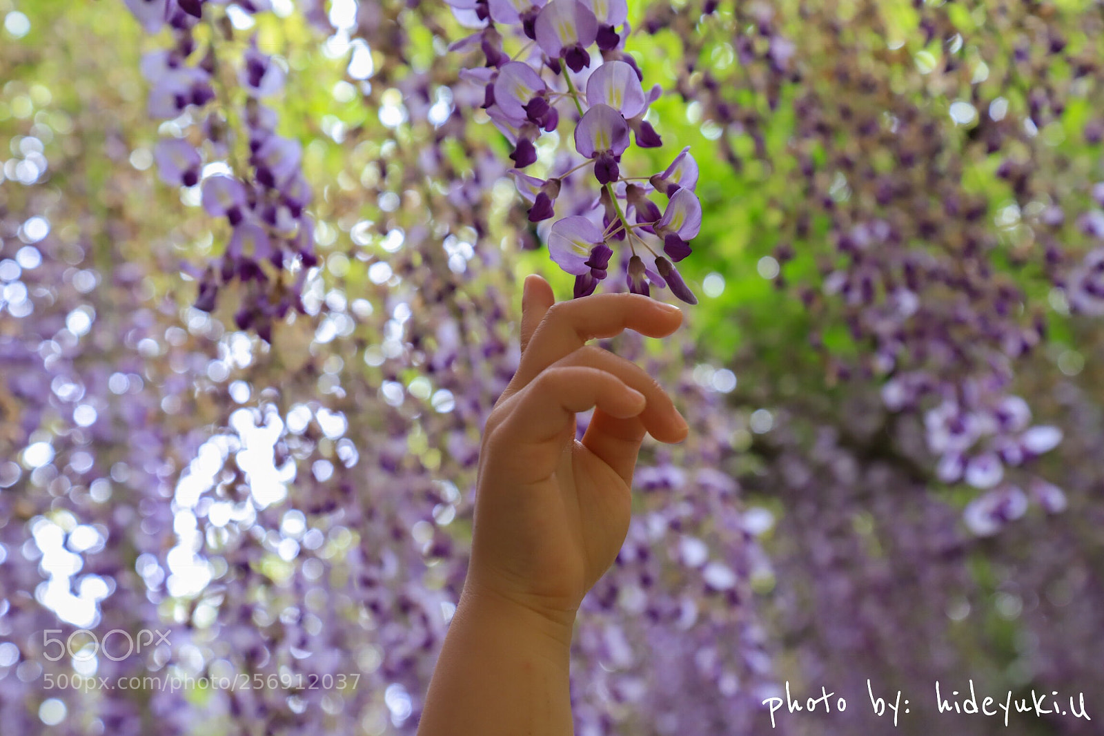 Canon EOS 6D Mark II sample photo. Untitled photography