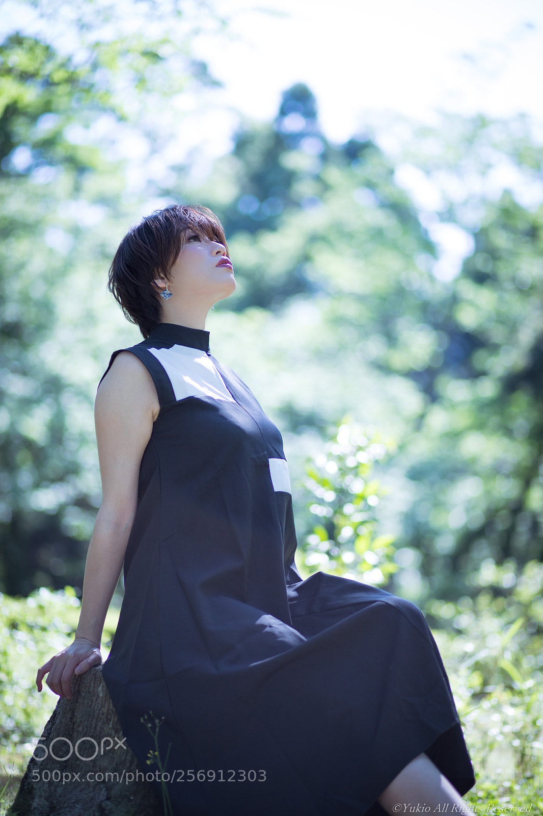 Canon EOS 6D Mark II sample photo. Untitled photography