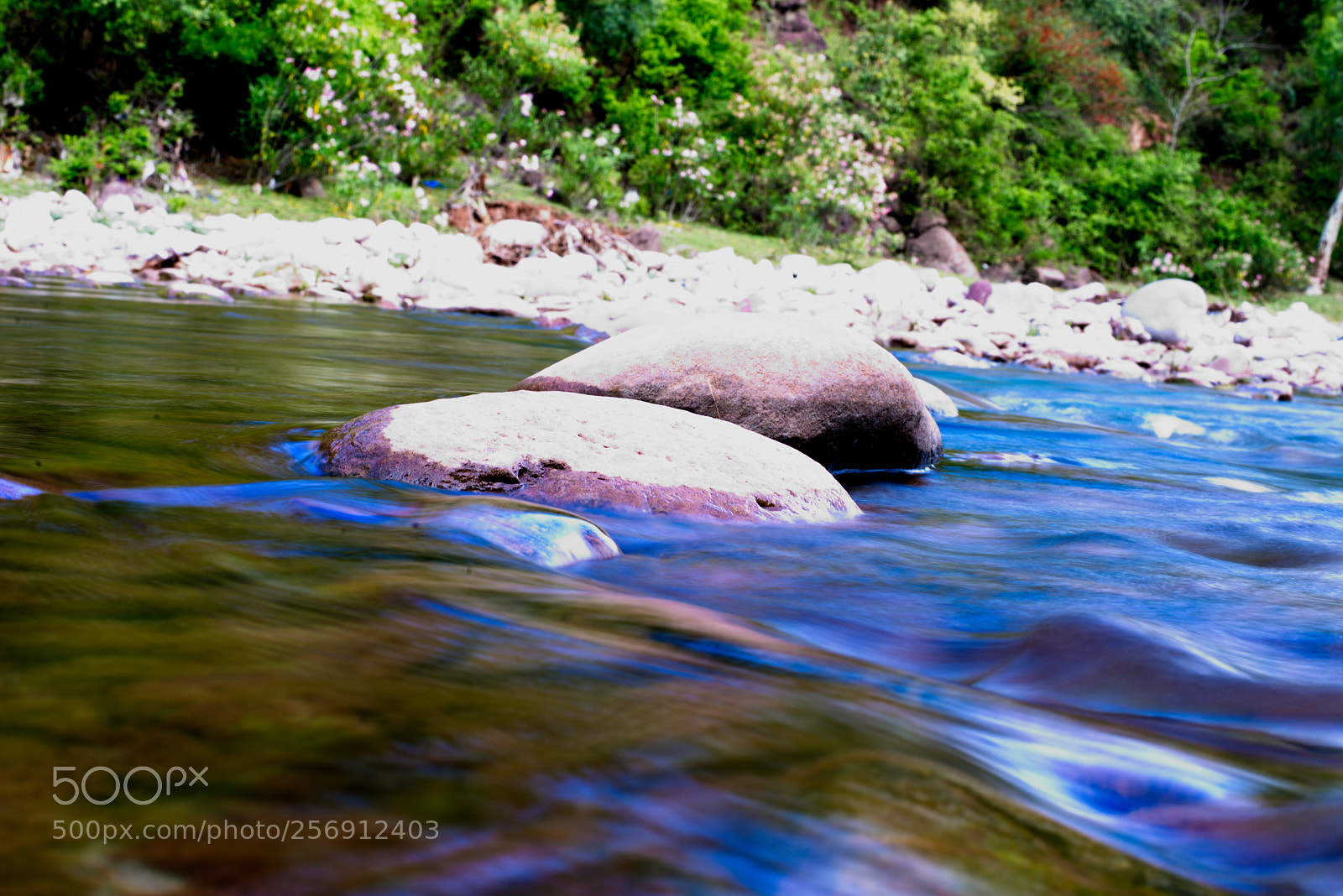 Nikon D610 sample photo. Salgaran valley photography