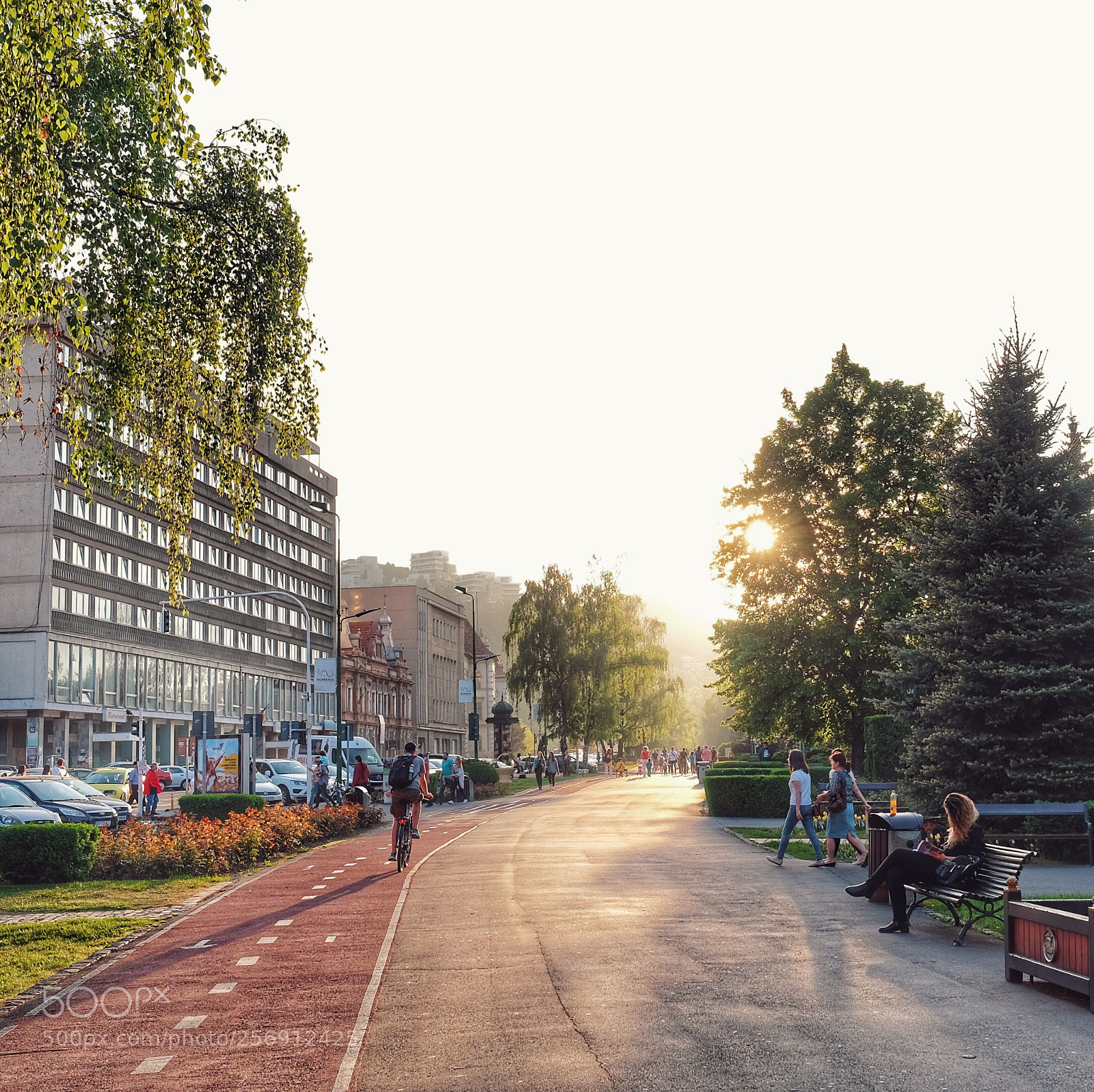 Fujifilm X-T1 sample photo. Sunset in the park  photography