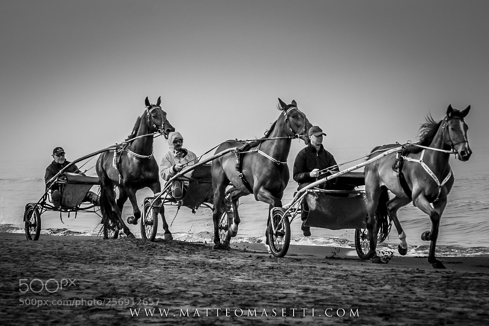 Canon EOS 6D Mark II sample photo. Horses photography