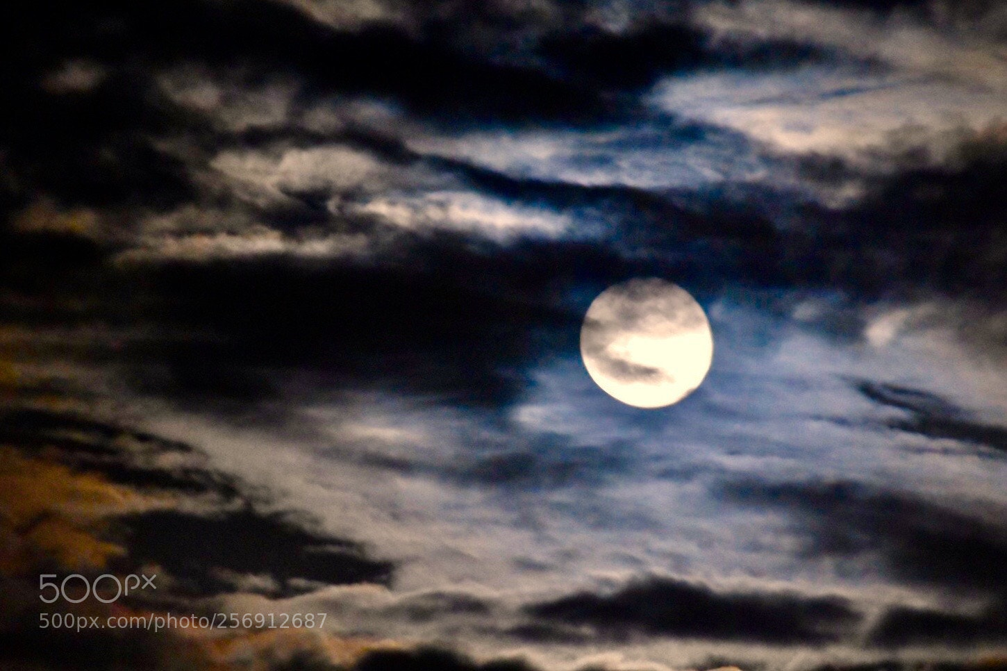 Nikon D7200 sample photo. Untitled photography
