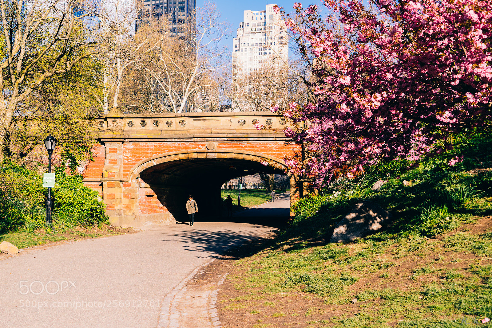 Sony a7R sample photo. Not all goes according photography
