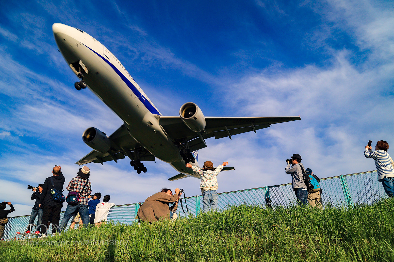 Canon EOS 6D Mark II sample photo. Untitled photography