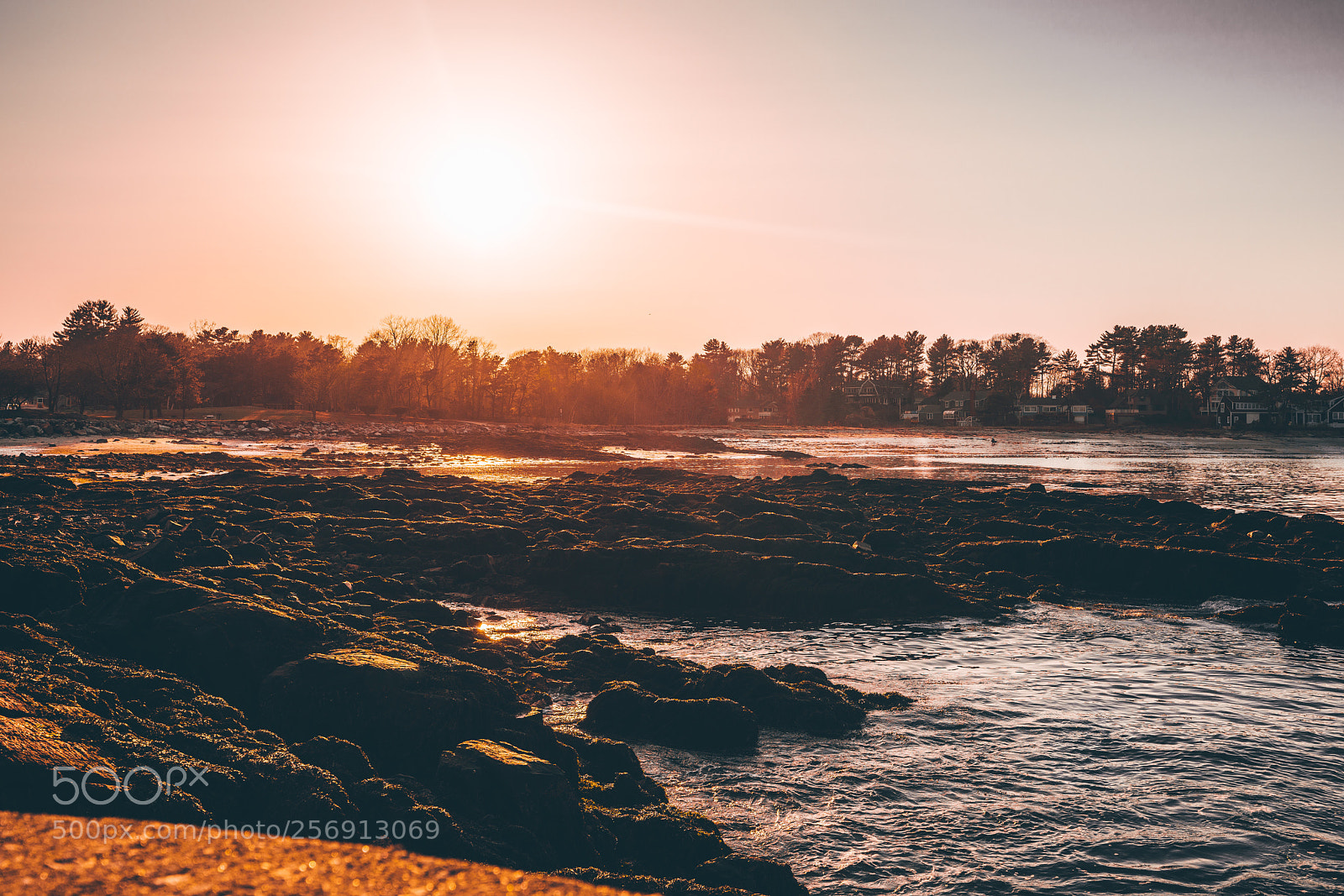 Sony a7R III sample photo. Golden hour  photography