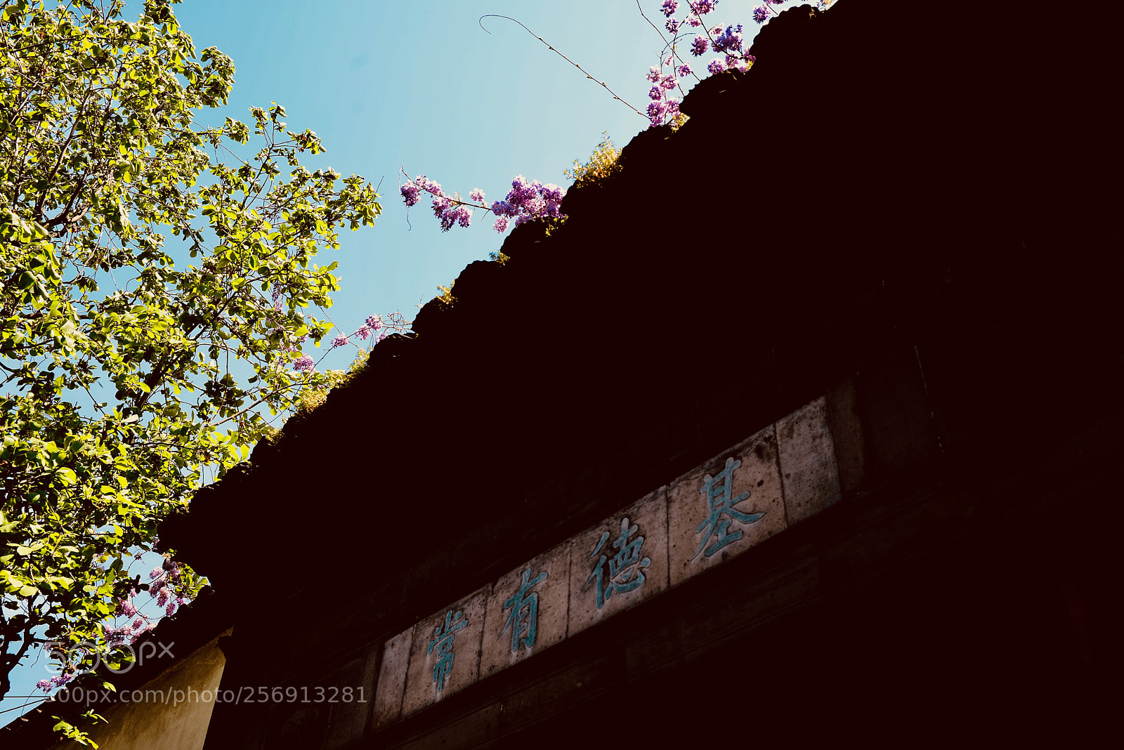 Nikon D610 sample photo. 基德有常 photography