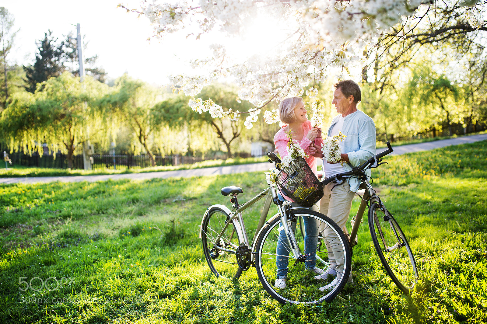 Nikon D4S sample photo. Beautiful senior couple with photography