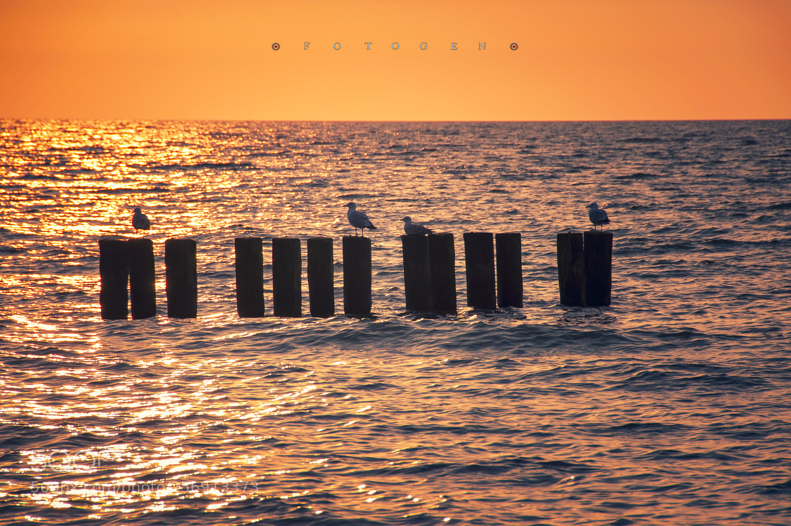 Nikon D300S sample photo. Chillin' at the ocean photography