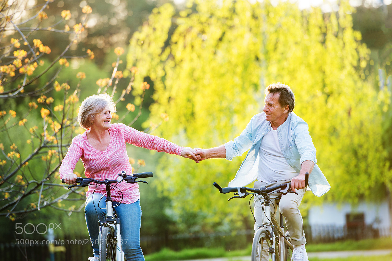 Nikon D4S sample photo. Beautiful senior couple with photography