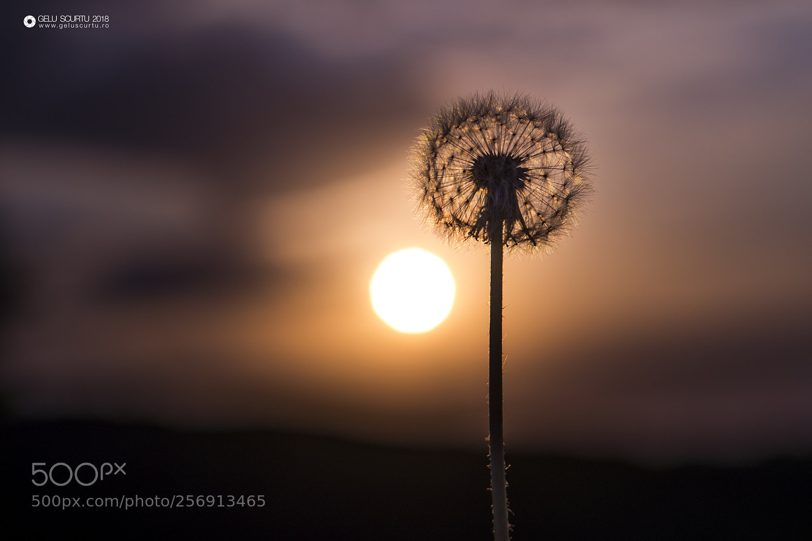 Nikon D610 sample photo. Sunrise photography