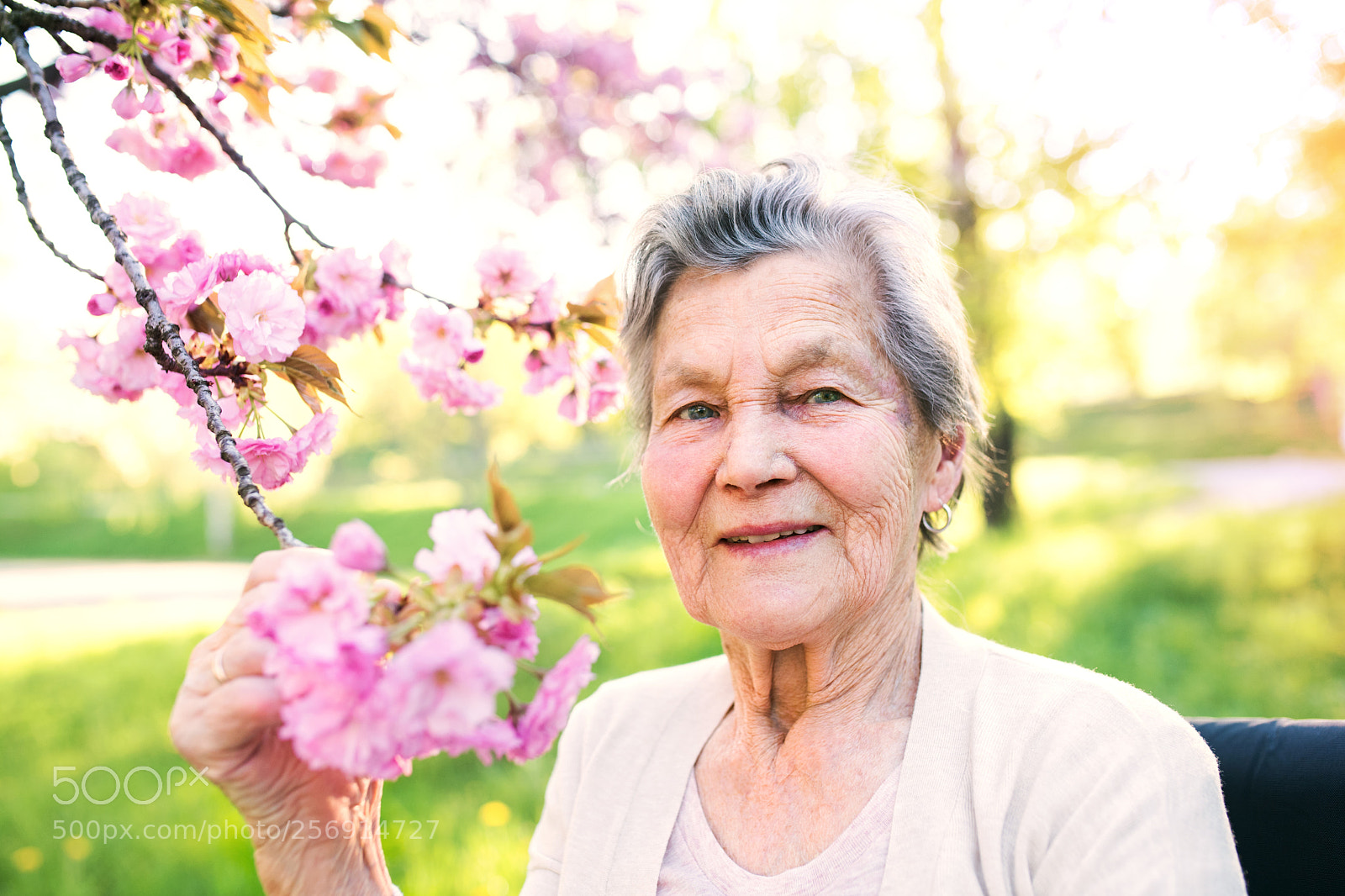 Nikon D5 sample photo. Elderly woman in wheelchair photography