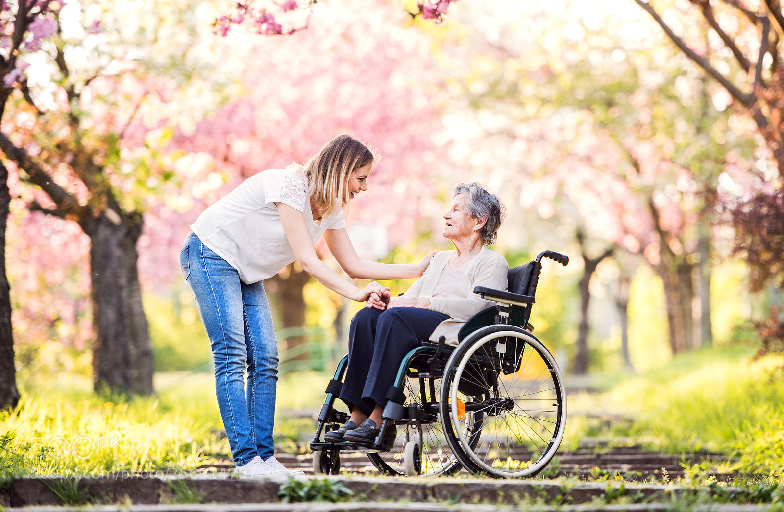 Nikon D5 sample photo. Elderly grandmother in wheelchair photography