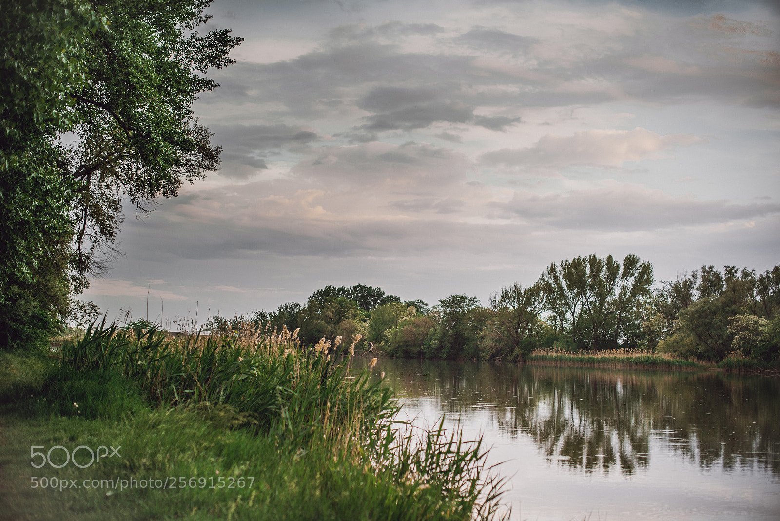 Nikon D750 sample photo. Россия photography