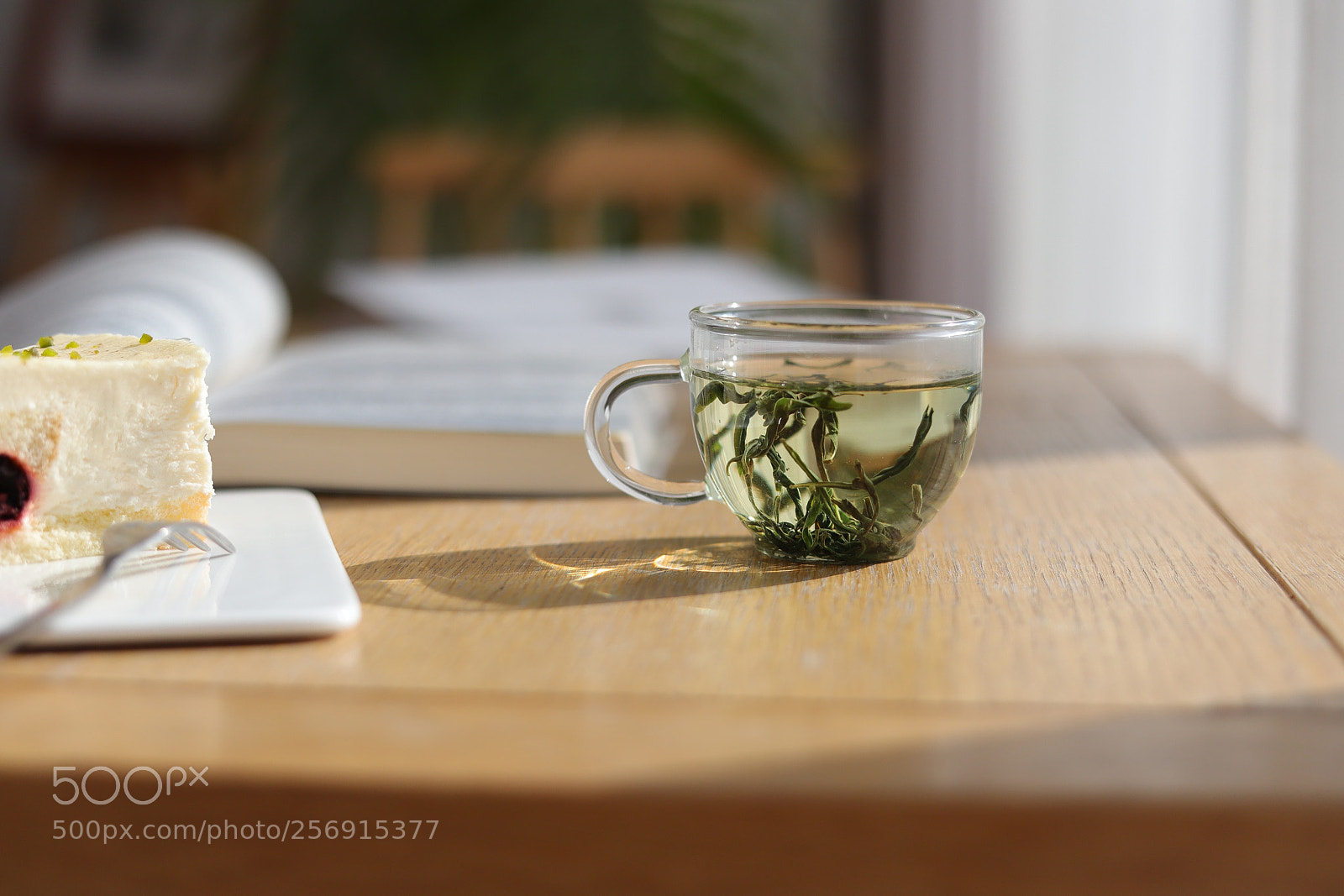 Canon EOS 6D Mark II sample photo. Untitled photography