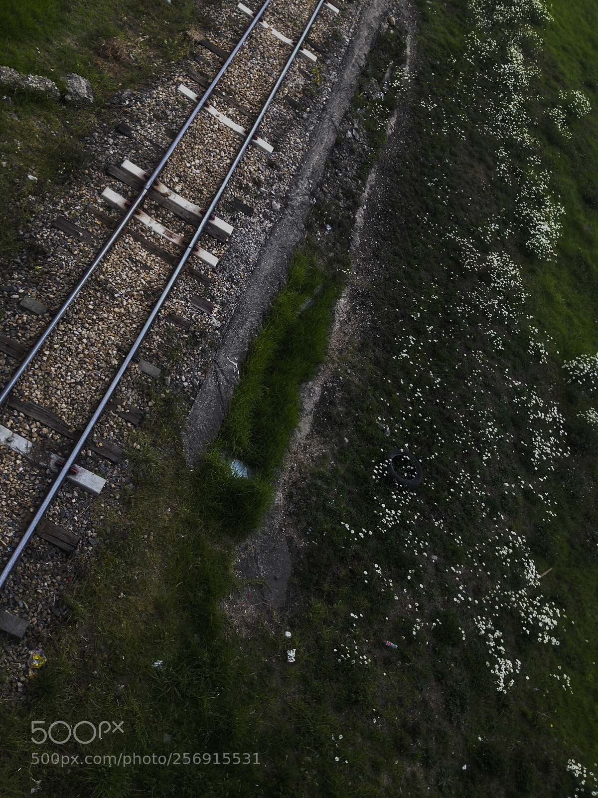 Apple iPhone 5 sample photo. Abandoned flower train photography