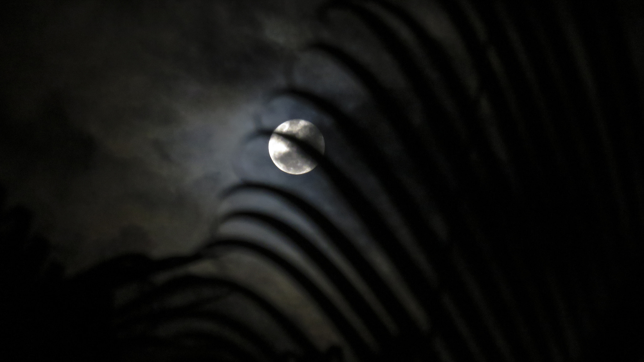 Canon PowerShot SX700 HS sample photo. Luna palmereada photography