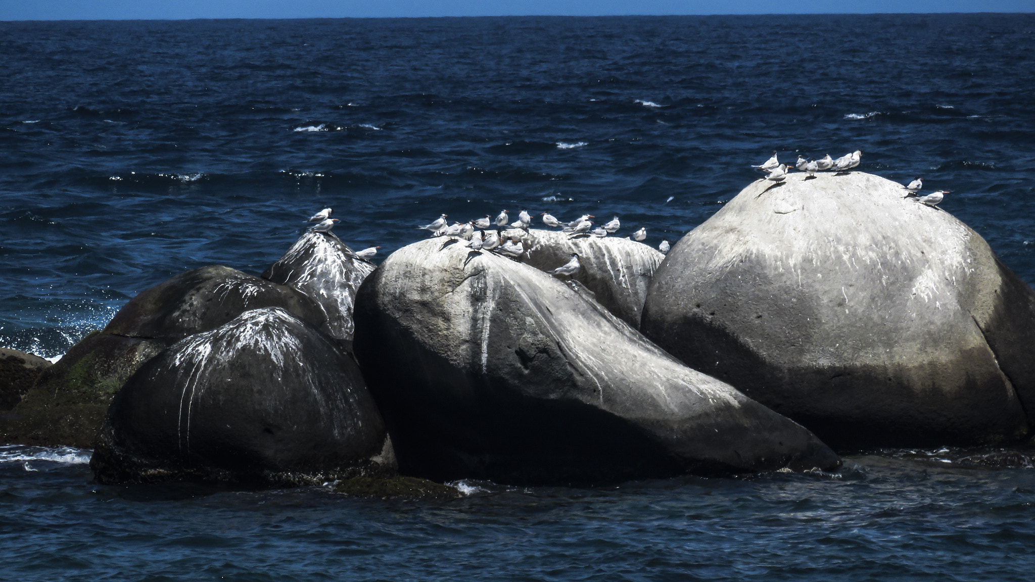 Canon PowerShot SX700 HS sample photo. Tayronas vigilant rock birds. photography