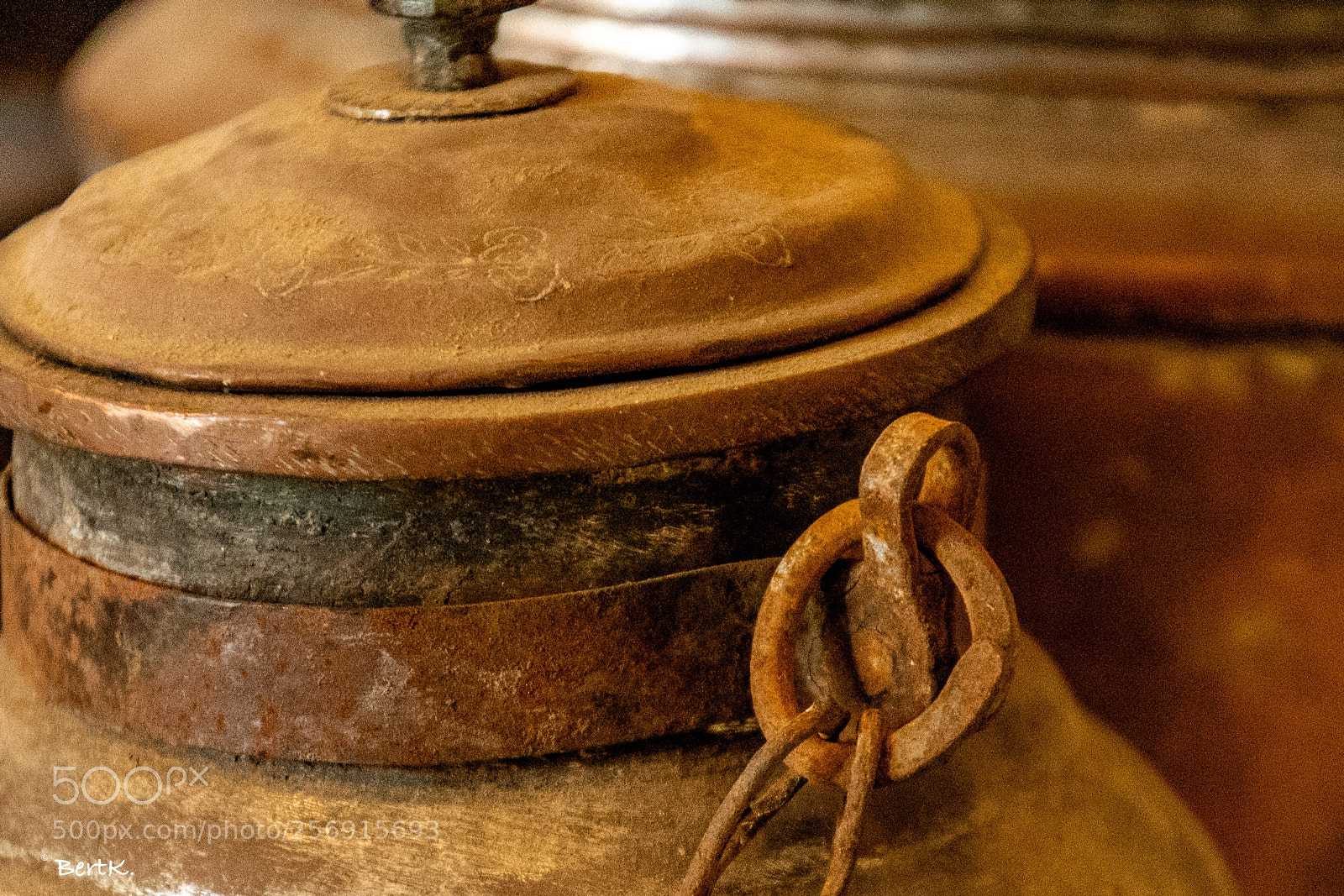 Nikon D500 sample photo. Rust photography