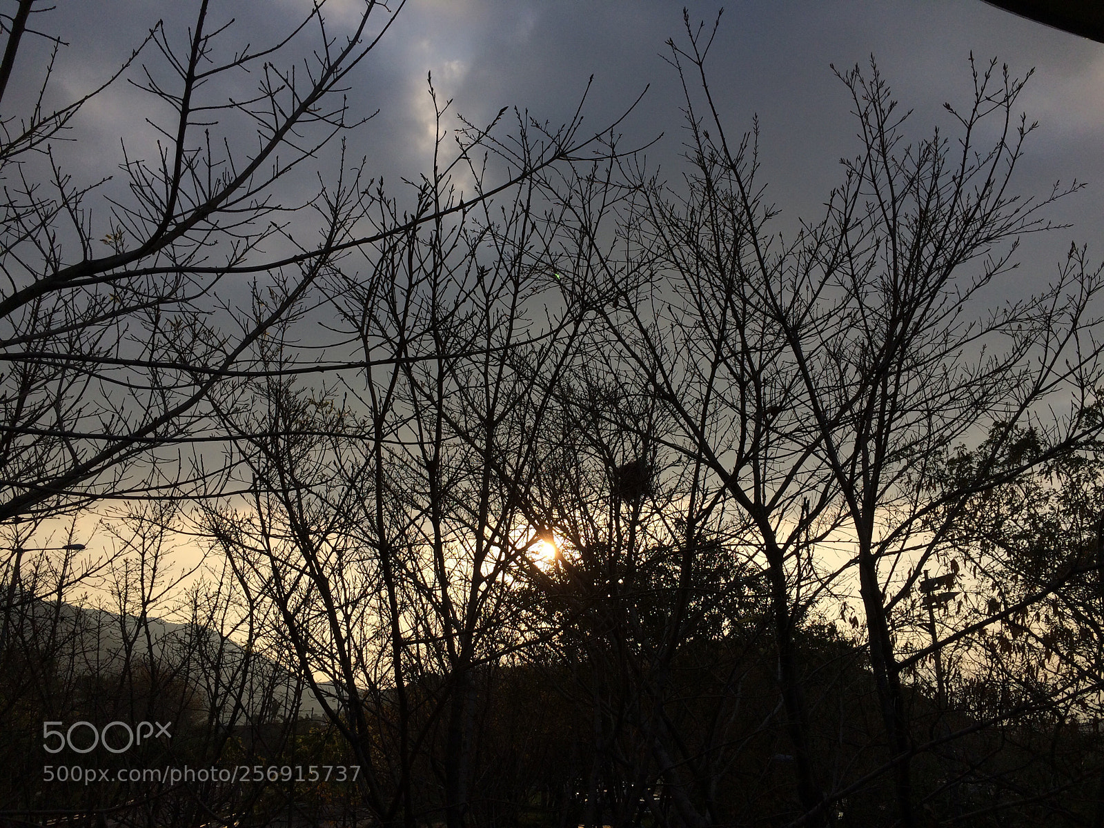Apple iPhone 5s sample photo. Sun set photography