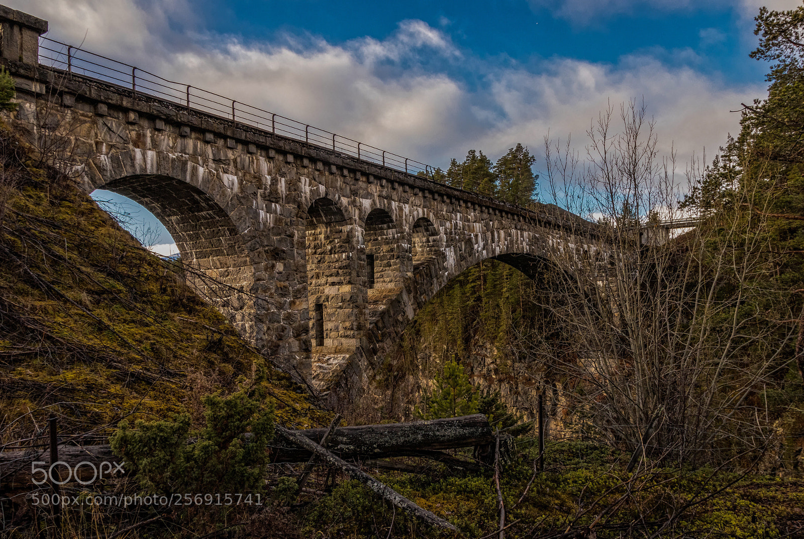Canon EOS 80D sample photo. Old railway bridge photography