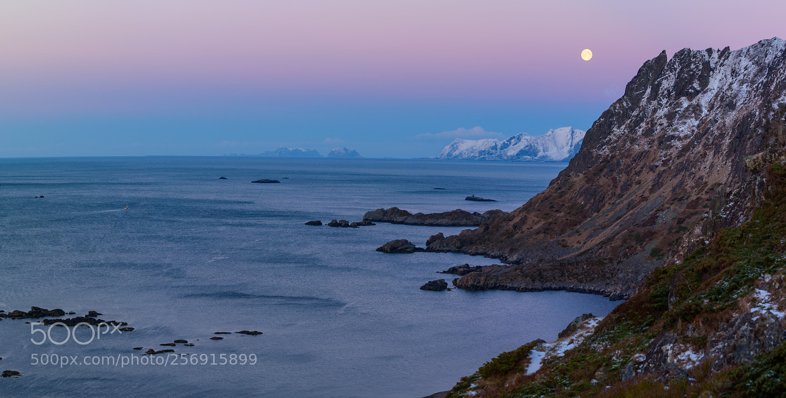 Nikon D750 sample photo. Morning moon photography