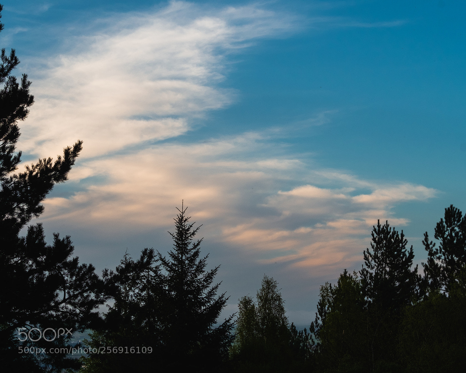 Fujifilm X-Pro1 sample photo. Evening sky photography
