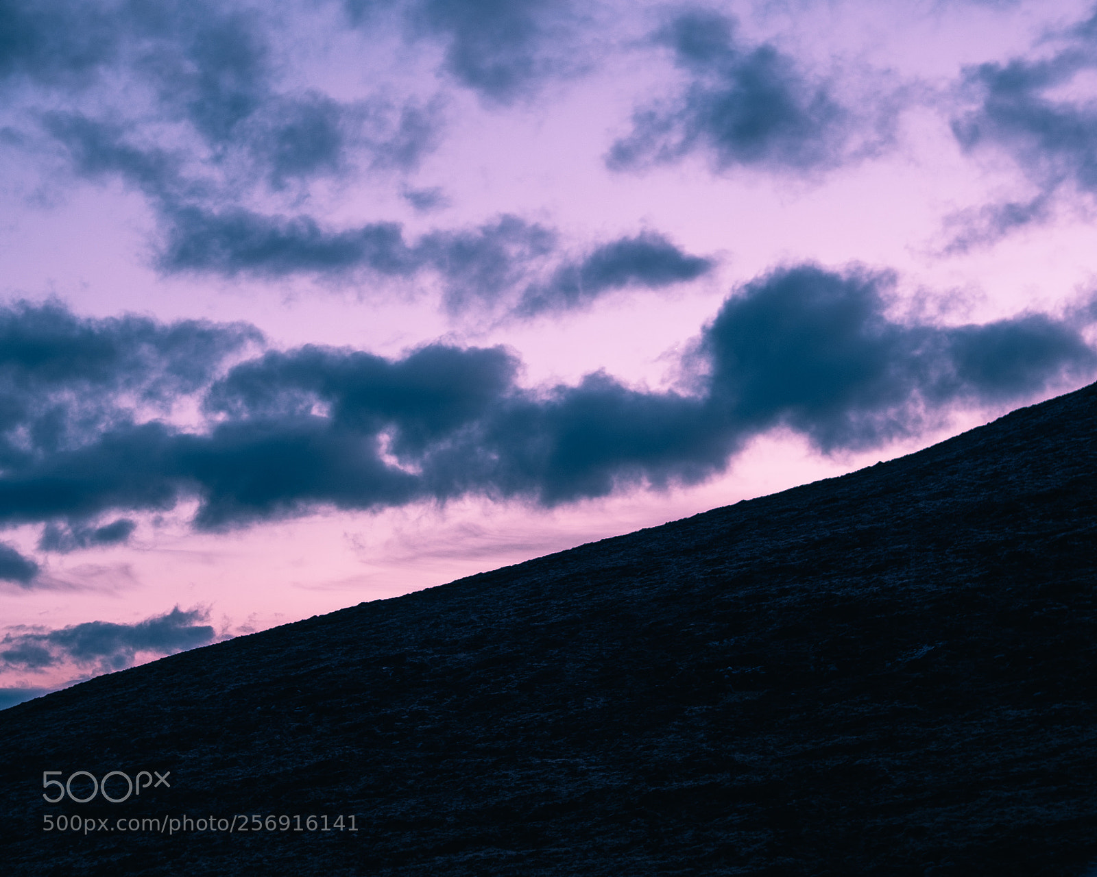 Fujifilm X-Pro1 sample photo. Purple evening photography