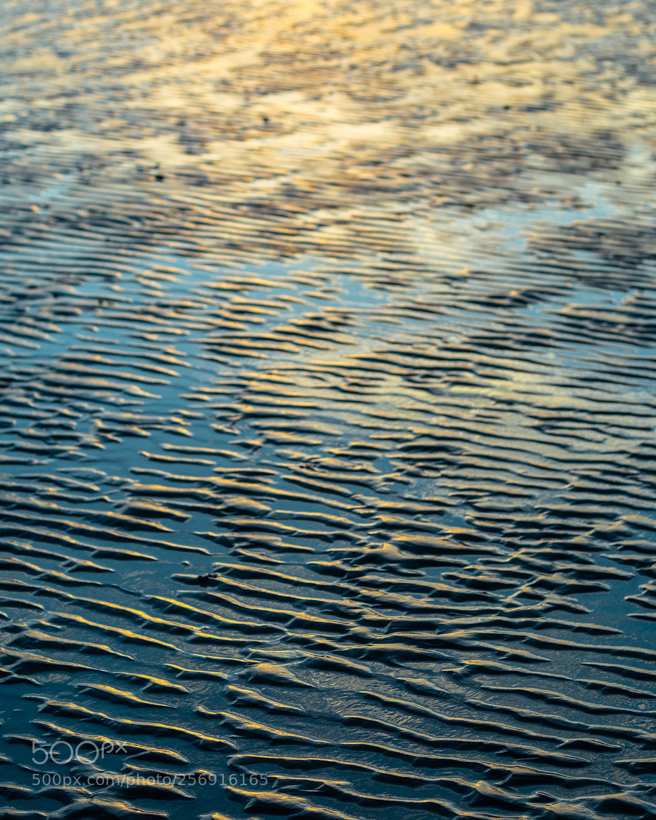 Fujifilm X-Pro1 sample photo. Reflection of calm photography