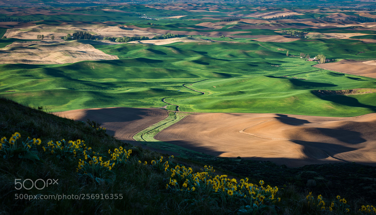 Nikon D750 sample photo. Dawn on the palouse photography