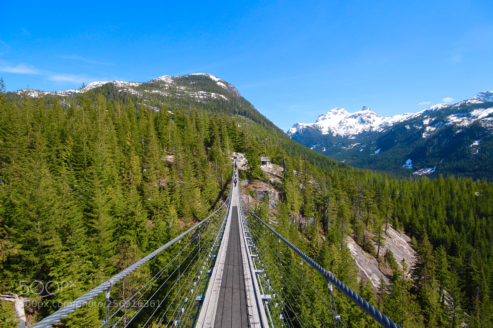 Canon EOS 700D (EOS Rebel T5i / EOS Kiss X7i) sample photo. Suspension bridge photography