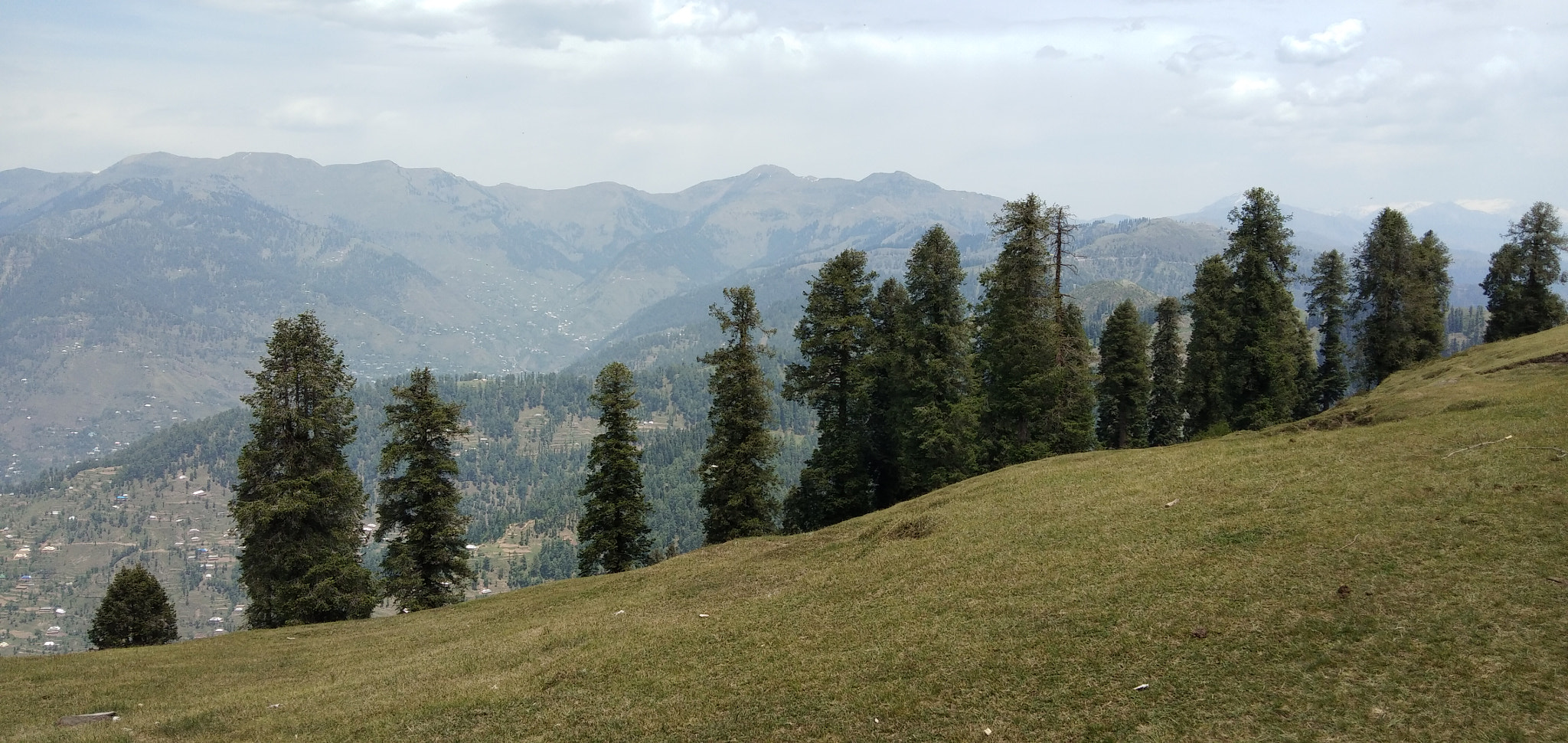 vivo V9 6GB sample photo. Toli peer photography