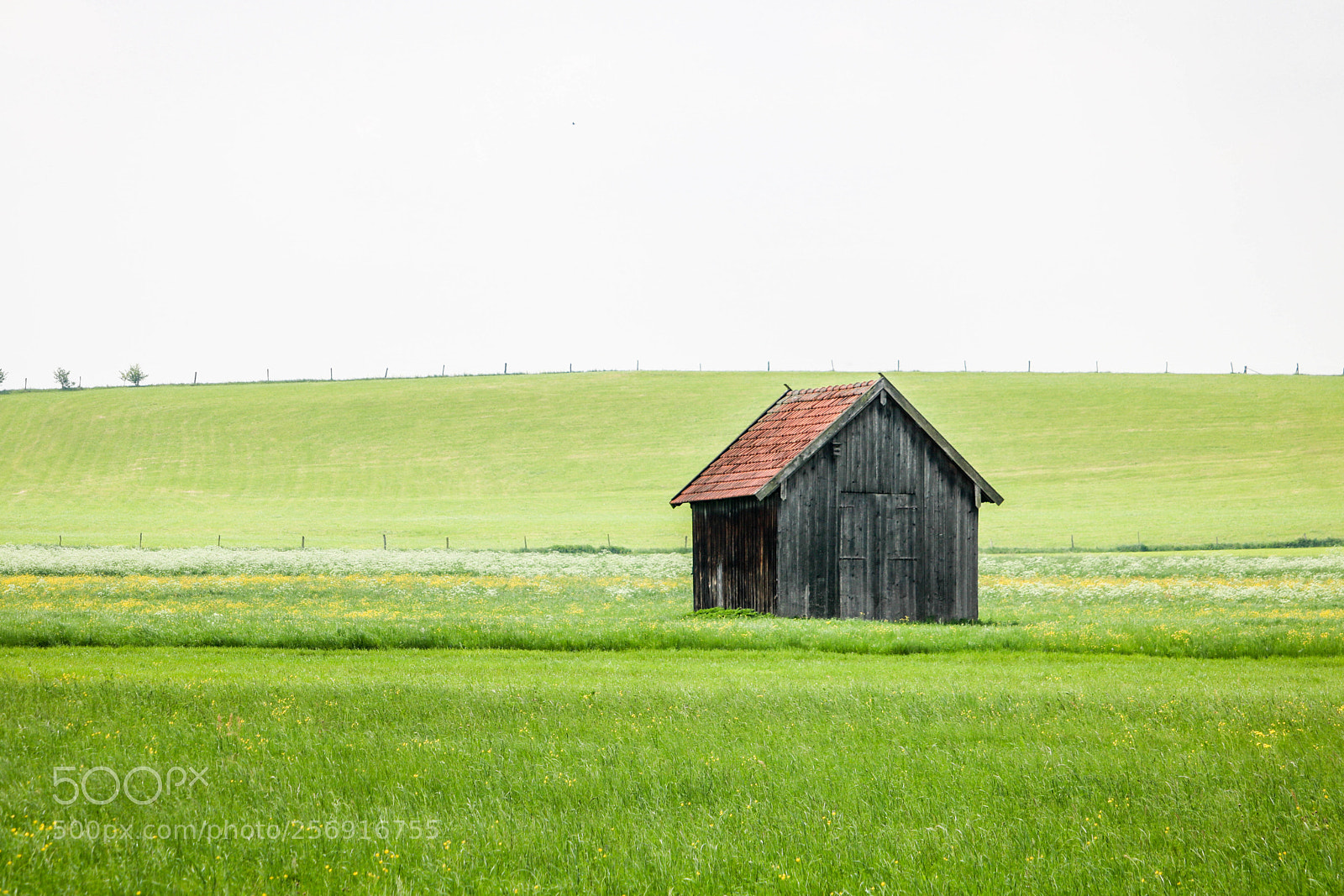 Canon EOS 750D (EOS Rebel T6i / EOS Kiss X8i) sample photo. Grüne wiesen... photography