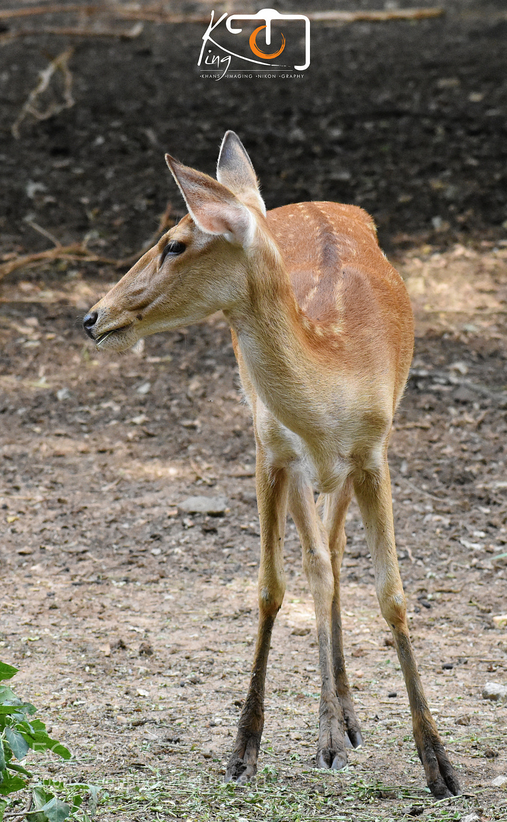 Nikon D3400 sample photo. Beautiful photography