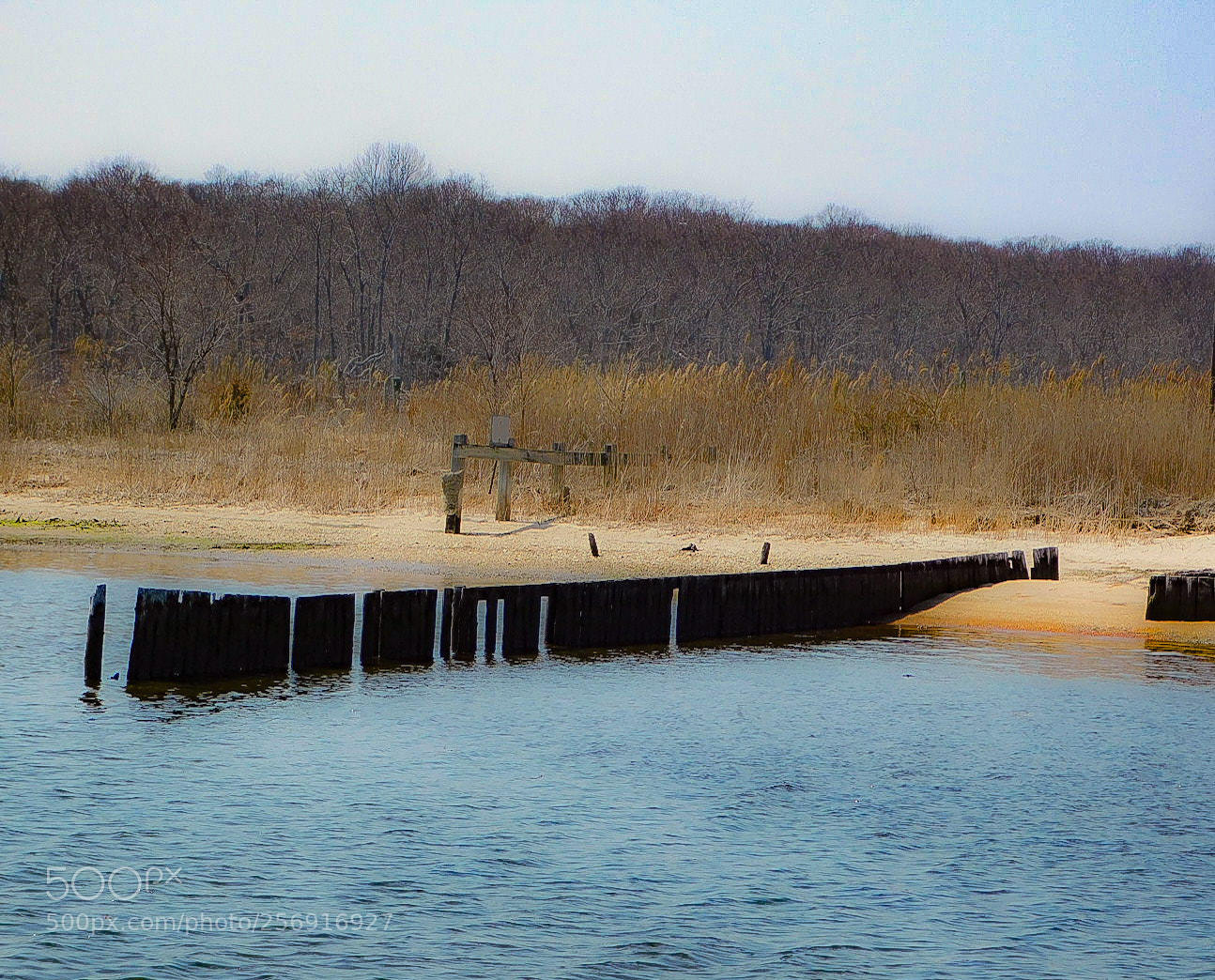 Nikon Coolpix B500 sample photo. Untitled photography