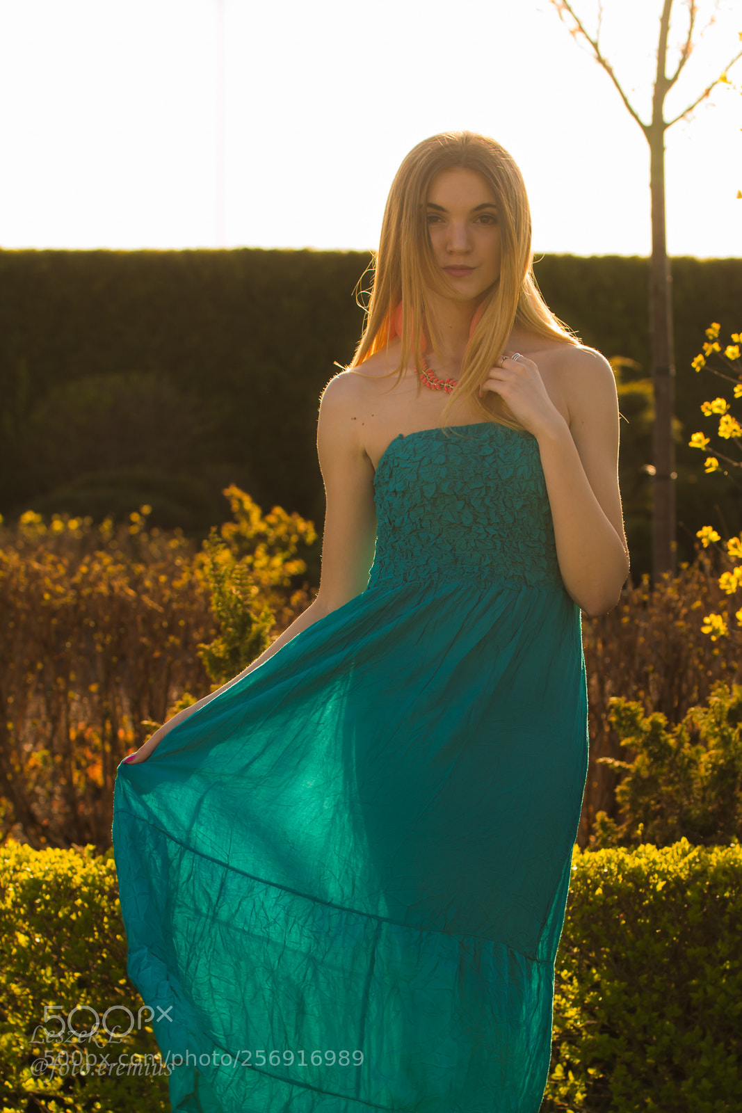 Nikon D7100 sample photo. Spring photography