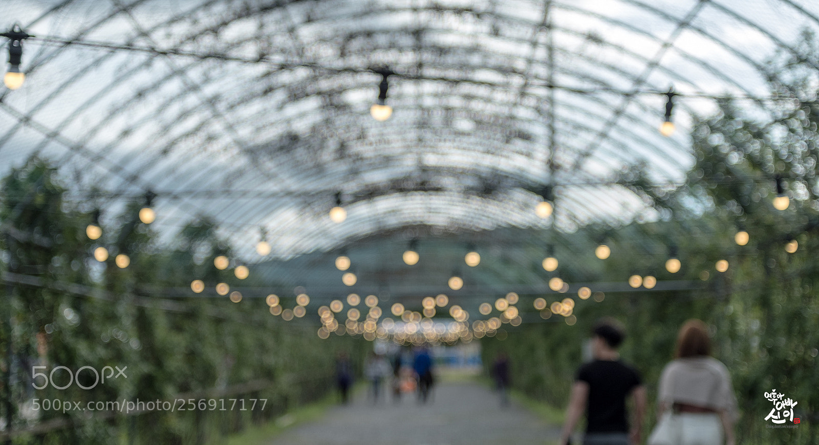 Fujifilm X-T2 sample photo. Lovers photography