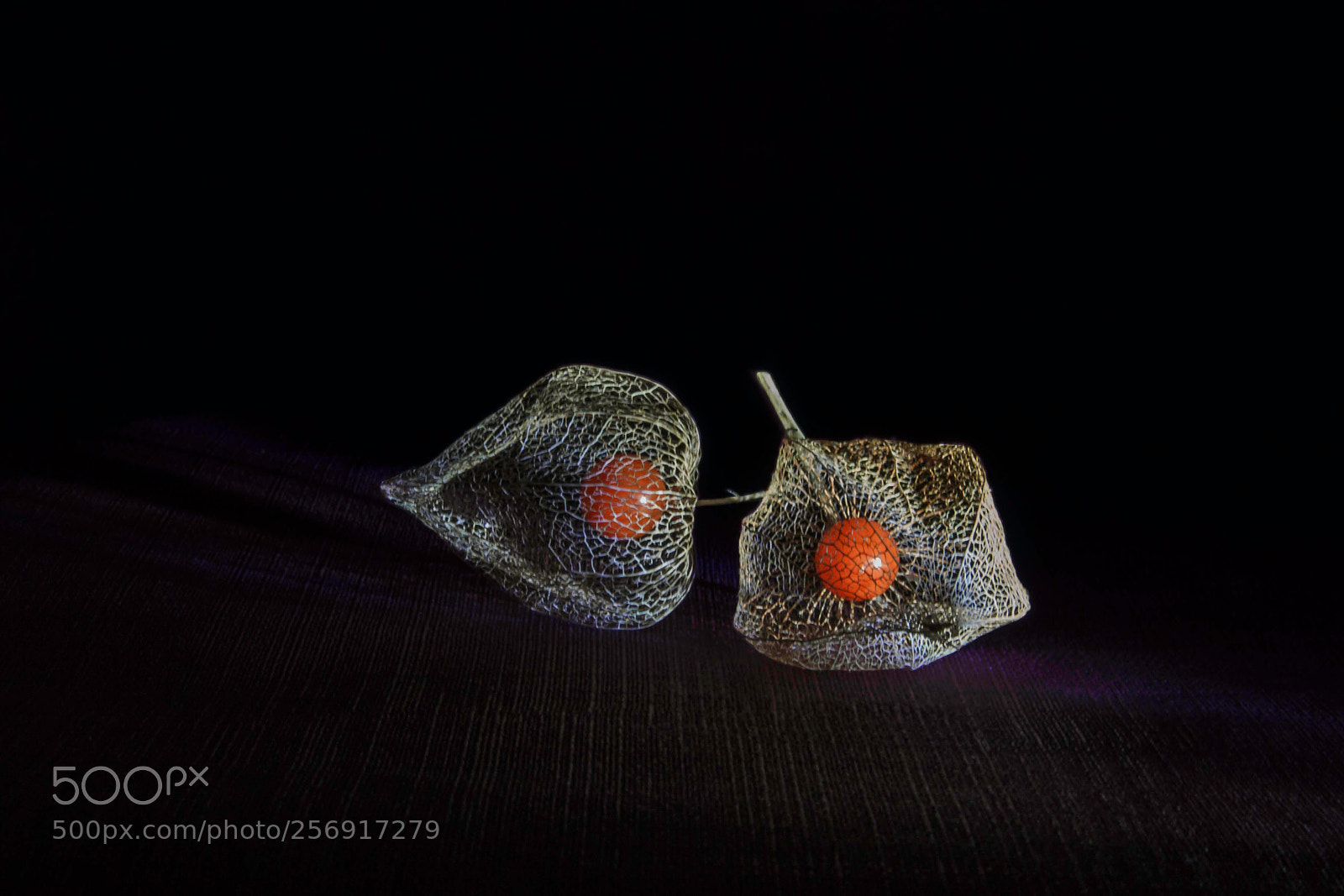 Canon EOS 60D sample photo. Fruits en nuisette photography