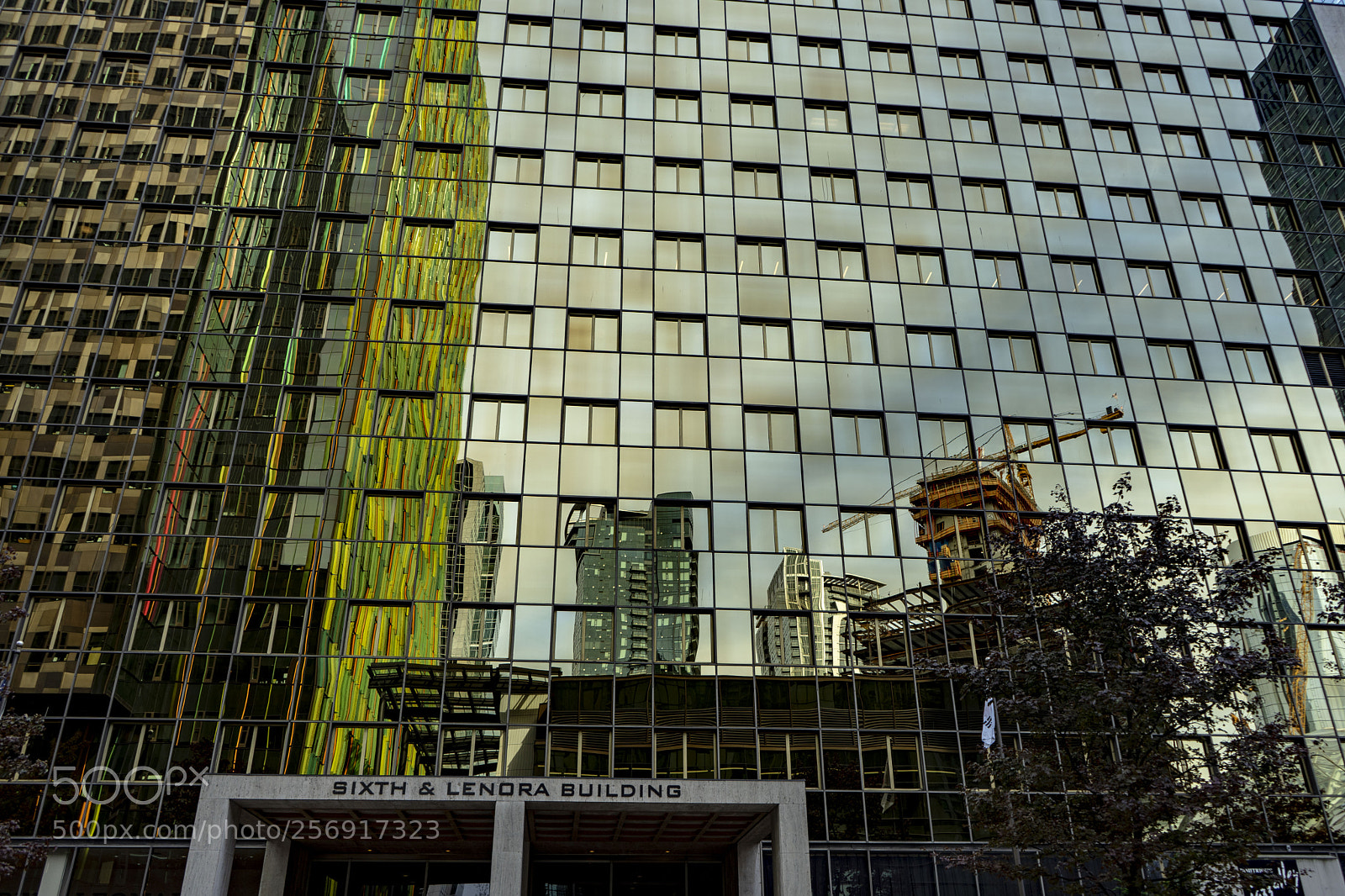 Sony a7 II sample photo. Afternoon reflection photography