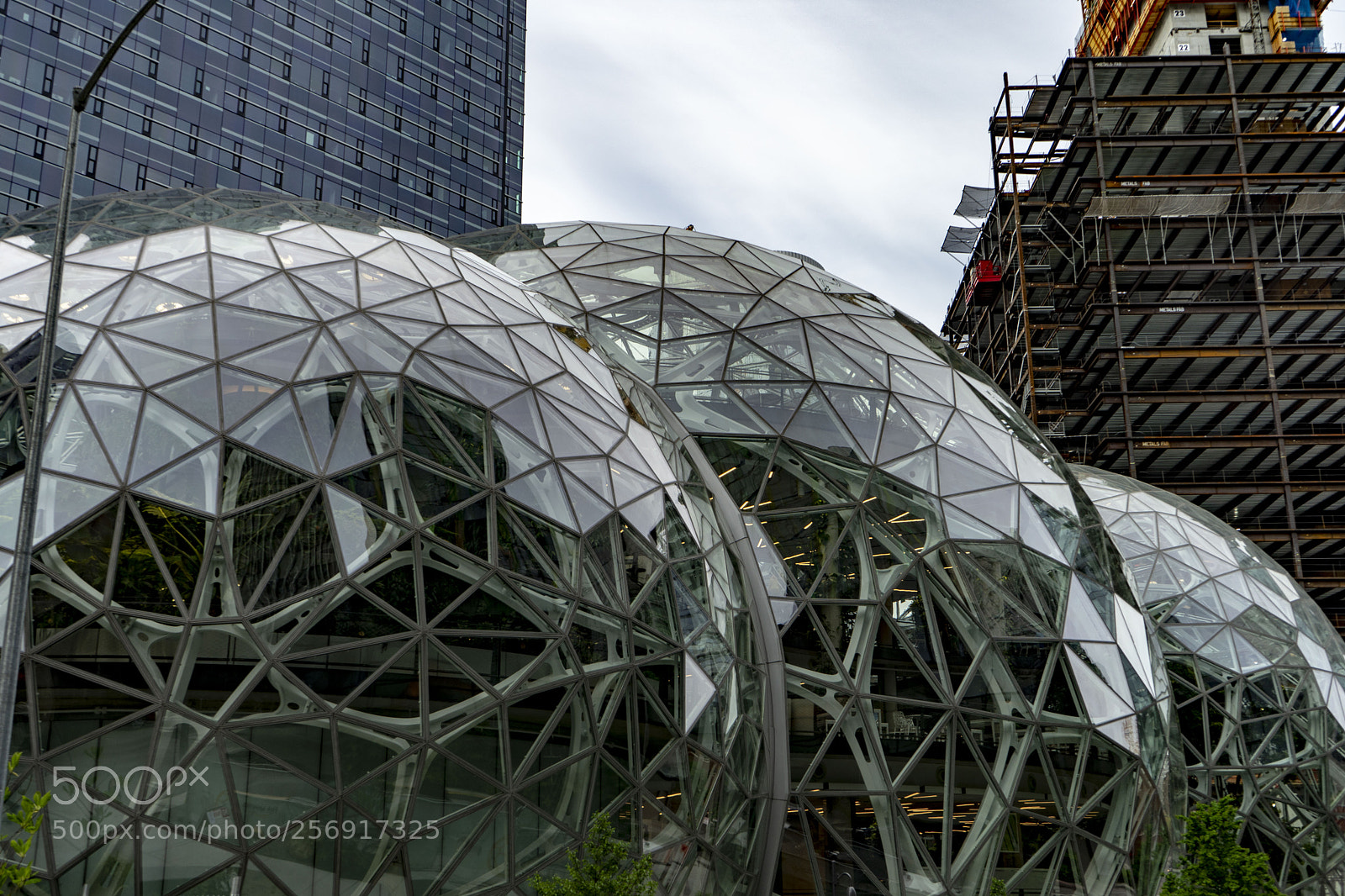 Sony a7 II sample photo. Amazon spheres photography