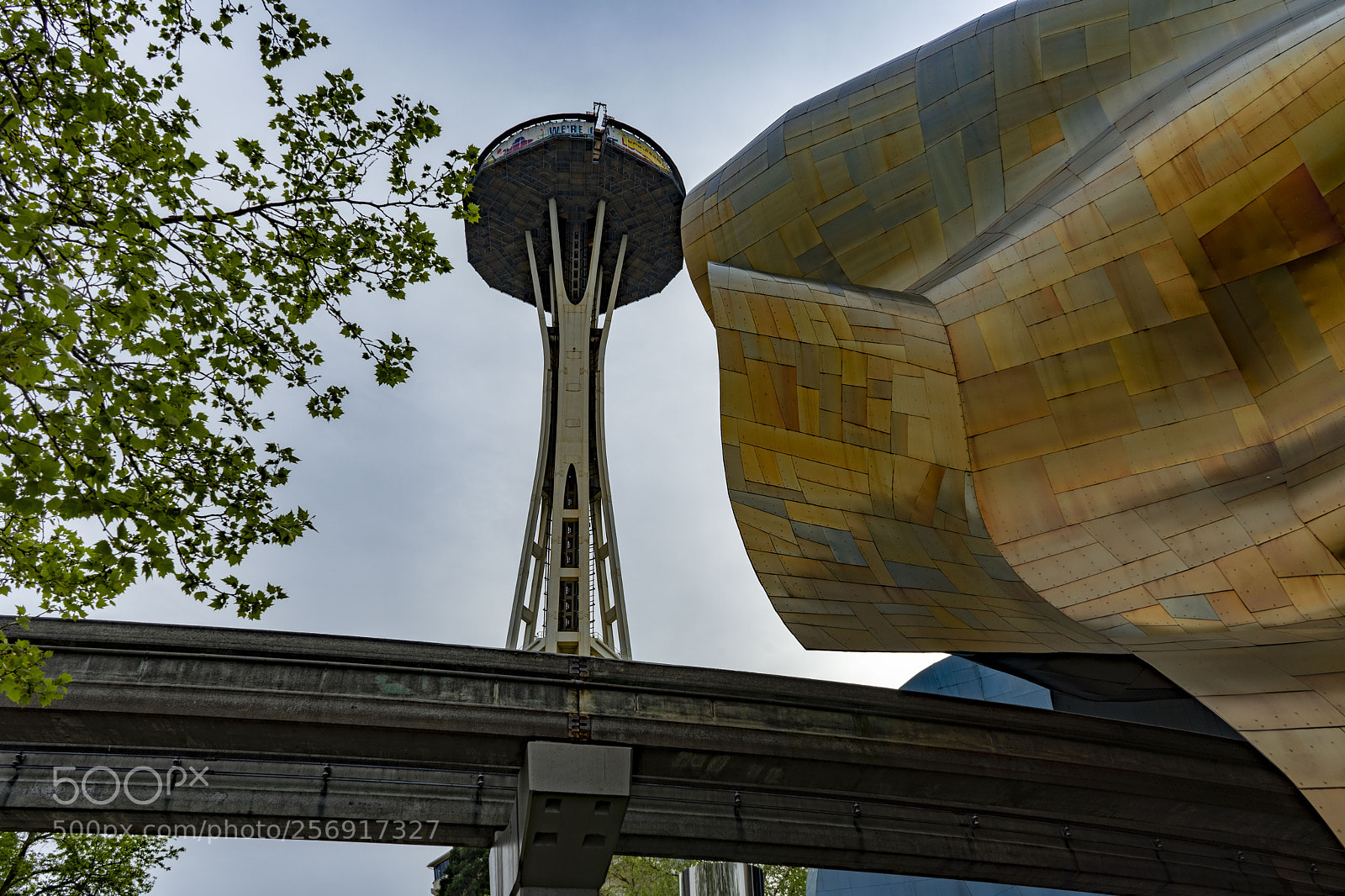 Sony a7 II sample photo. Space needle and emp photography