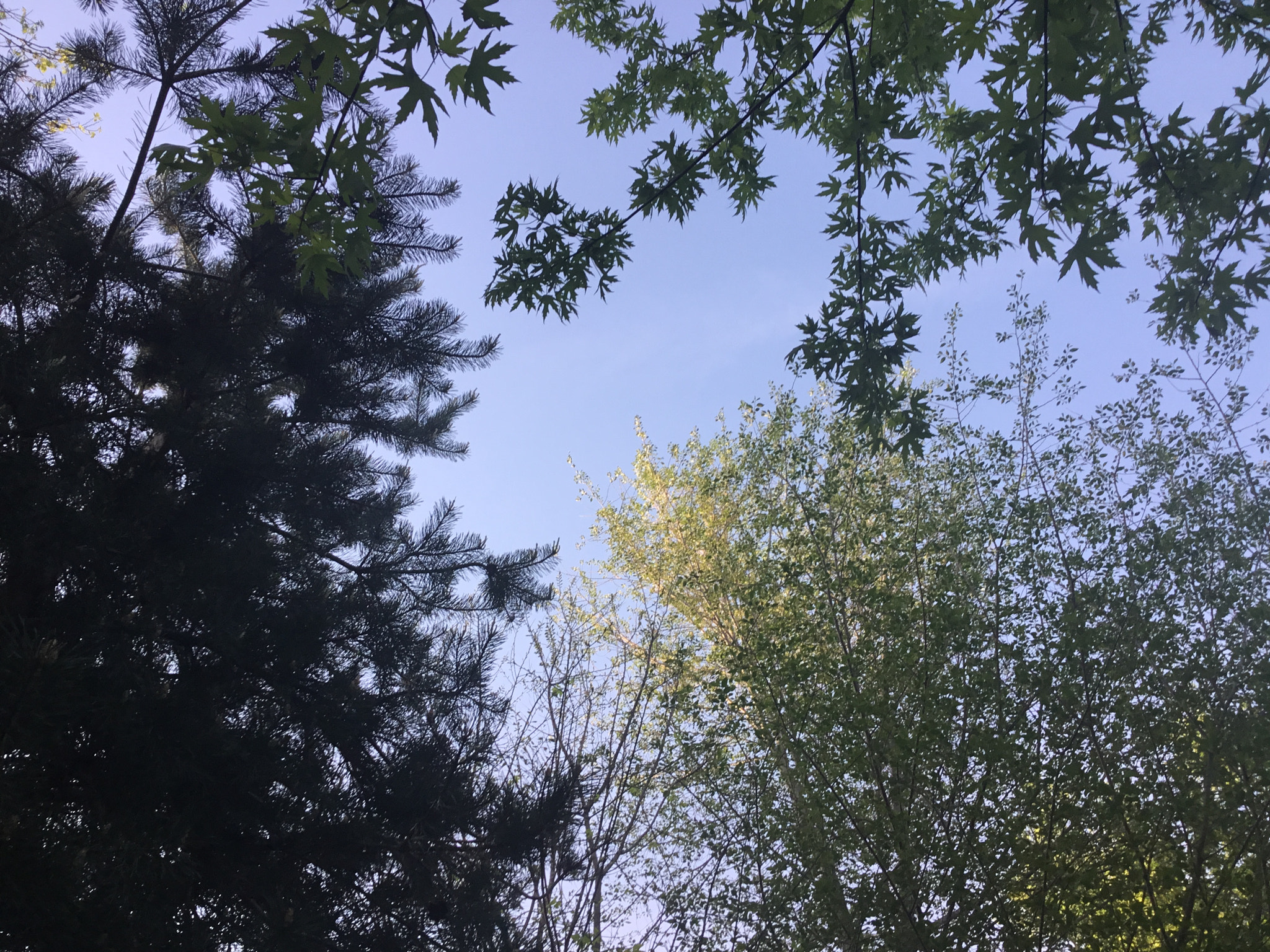Apple iPad (5th generation) sample photo. Cccaeaea cd acbdcb photography