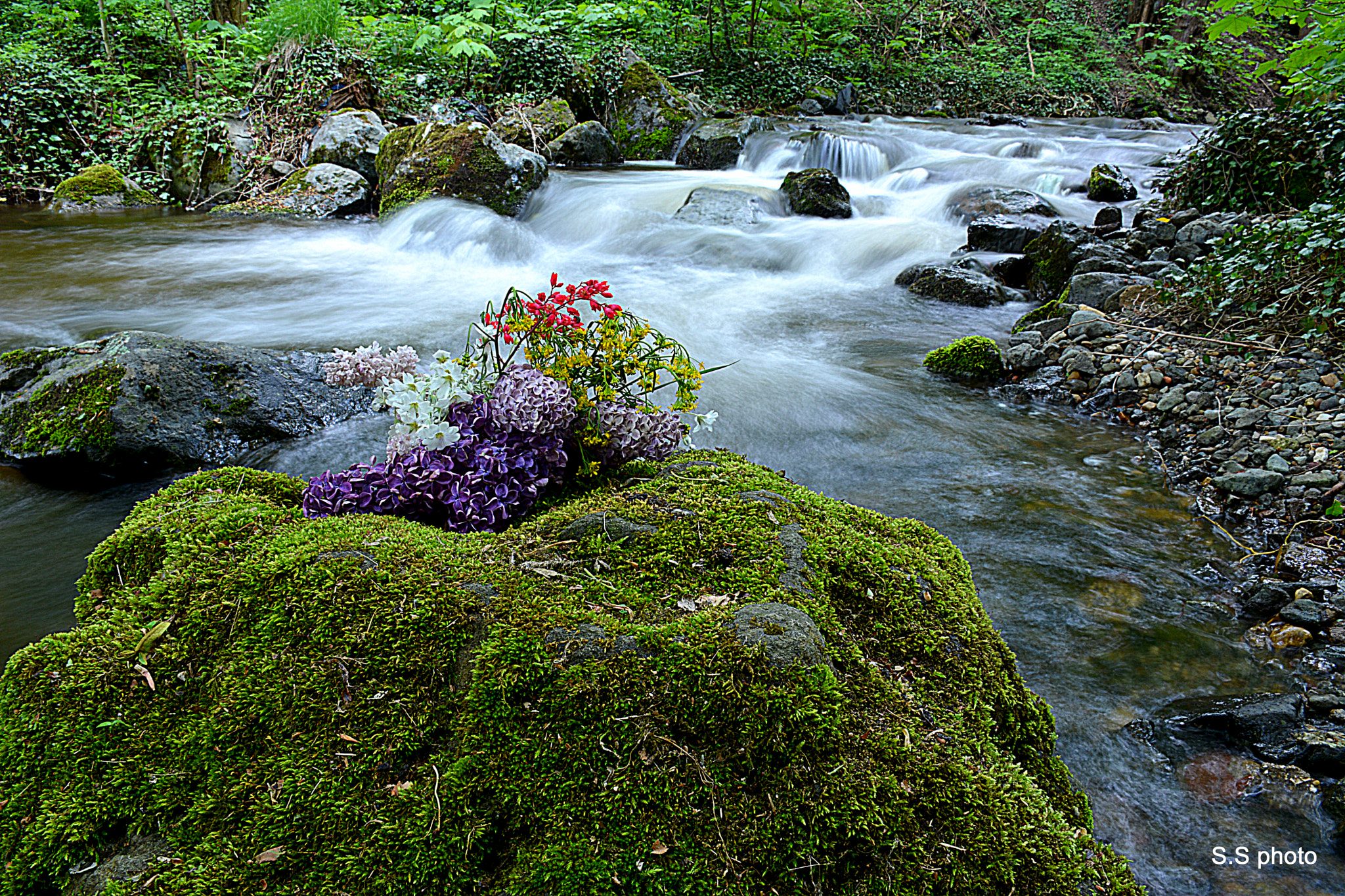 Nikon D7100 sample photo