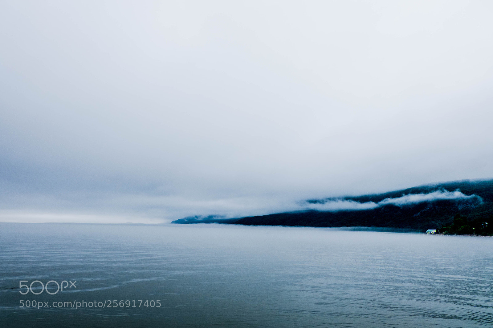 Fujifilm X-T10 sample photo. Foggy day on the photography