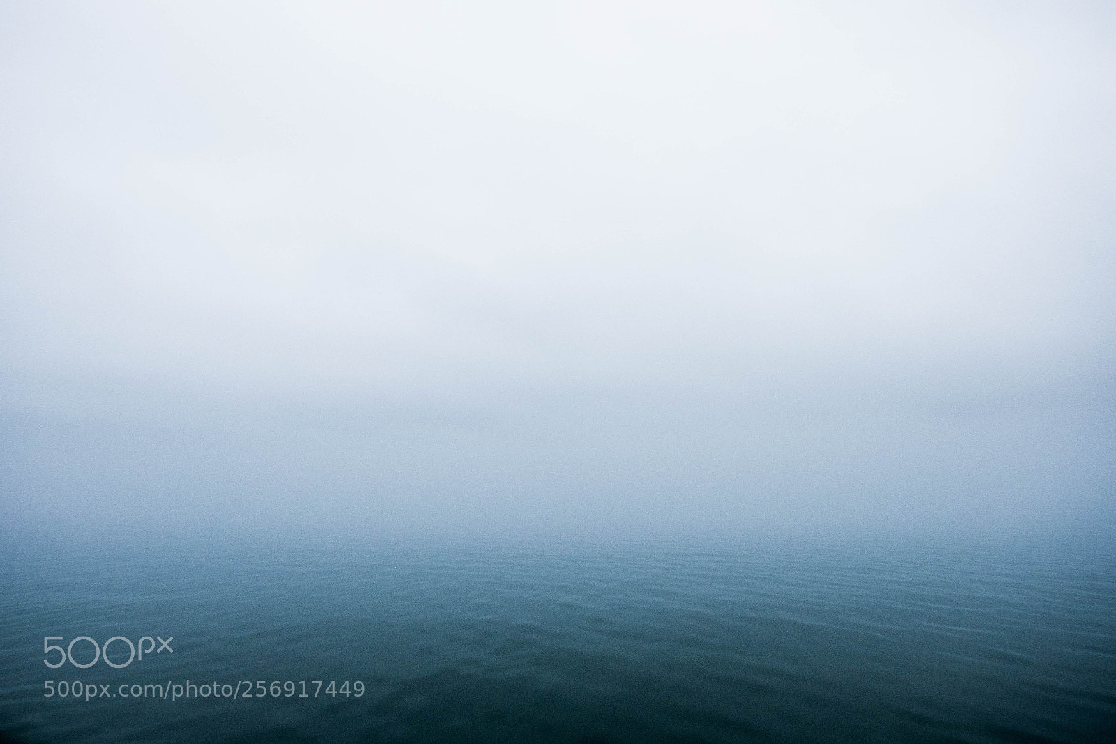 Fujifilm X-T10 sample photo. Foggy day on the photography
