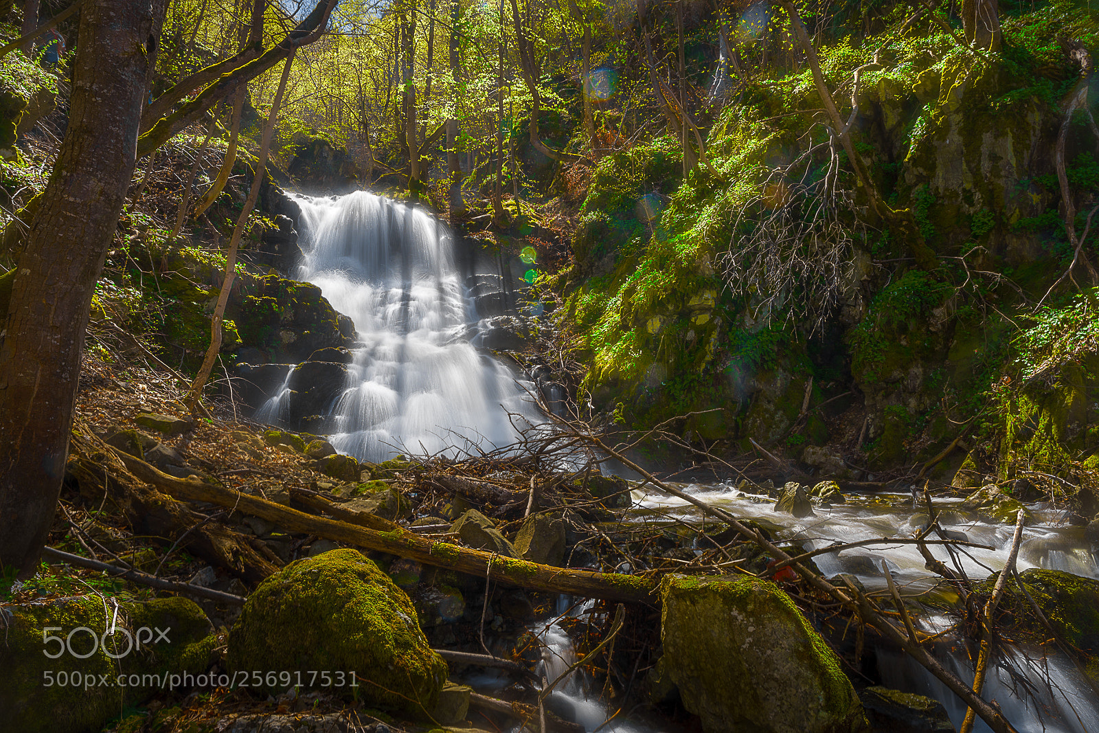 Sony a7 sample photo. Spring falls photography