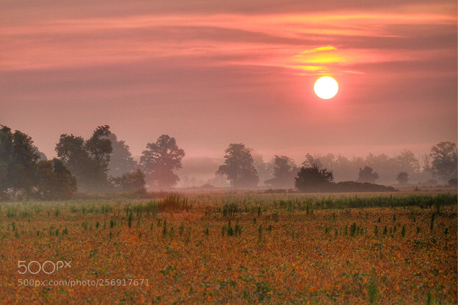 Canon EOS 7D sample photo. Sunrise at halton photography